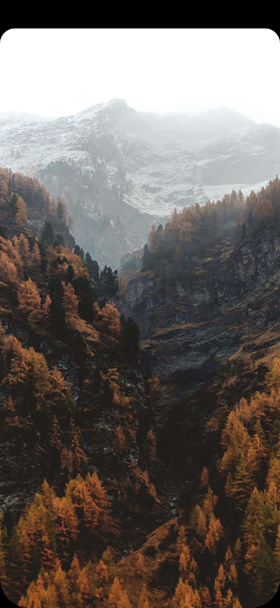 Impresionante Cascada en un Bosque Verde Frondoso Fondos de pantalla