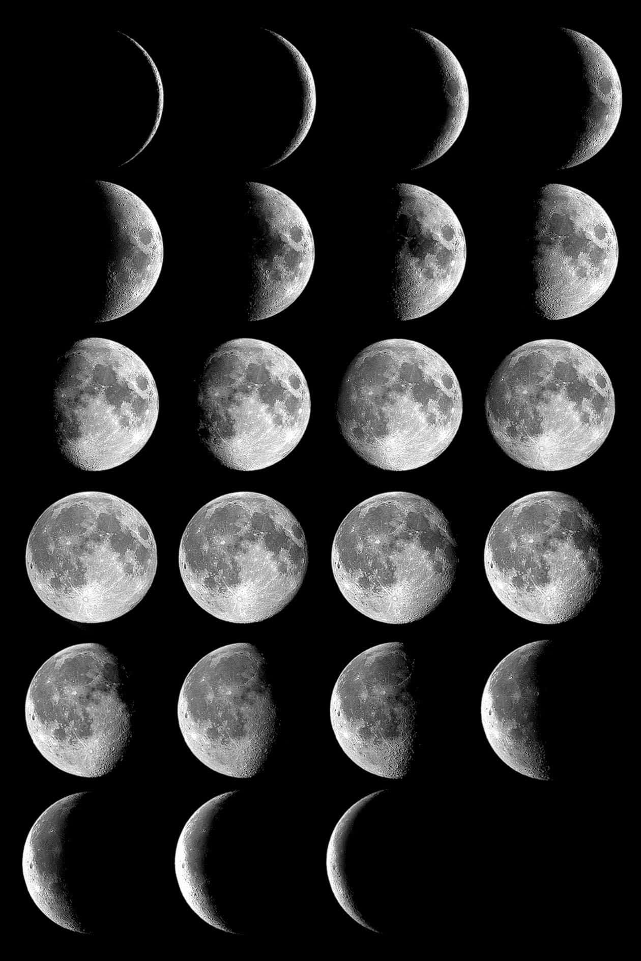Impresionante gráfico y ciclo de fases lunares Fondos de pantalla