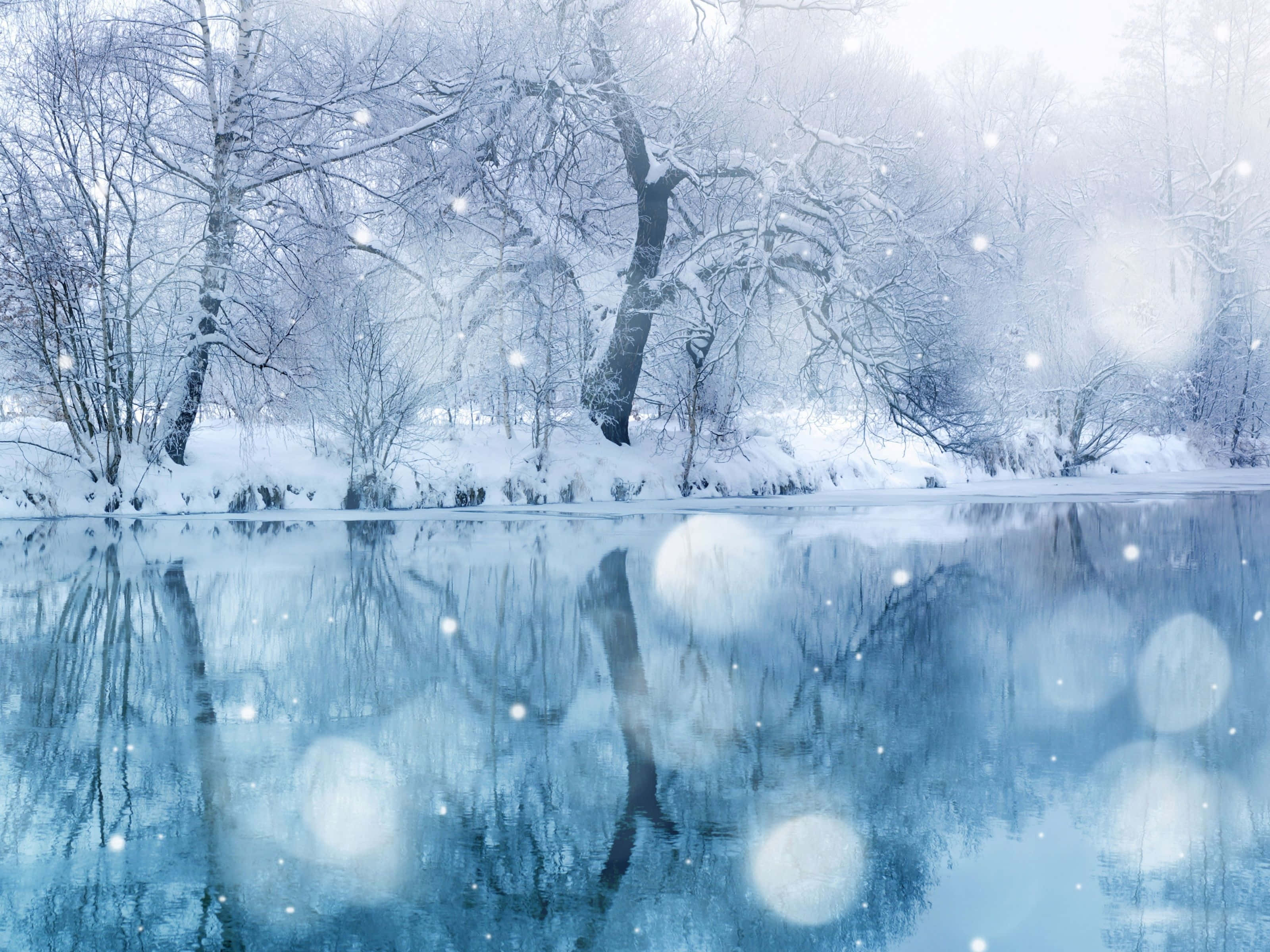 Impresionante Paraíso Invernal Fondos de pantalla