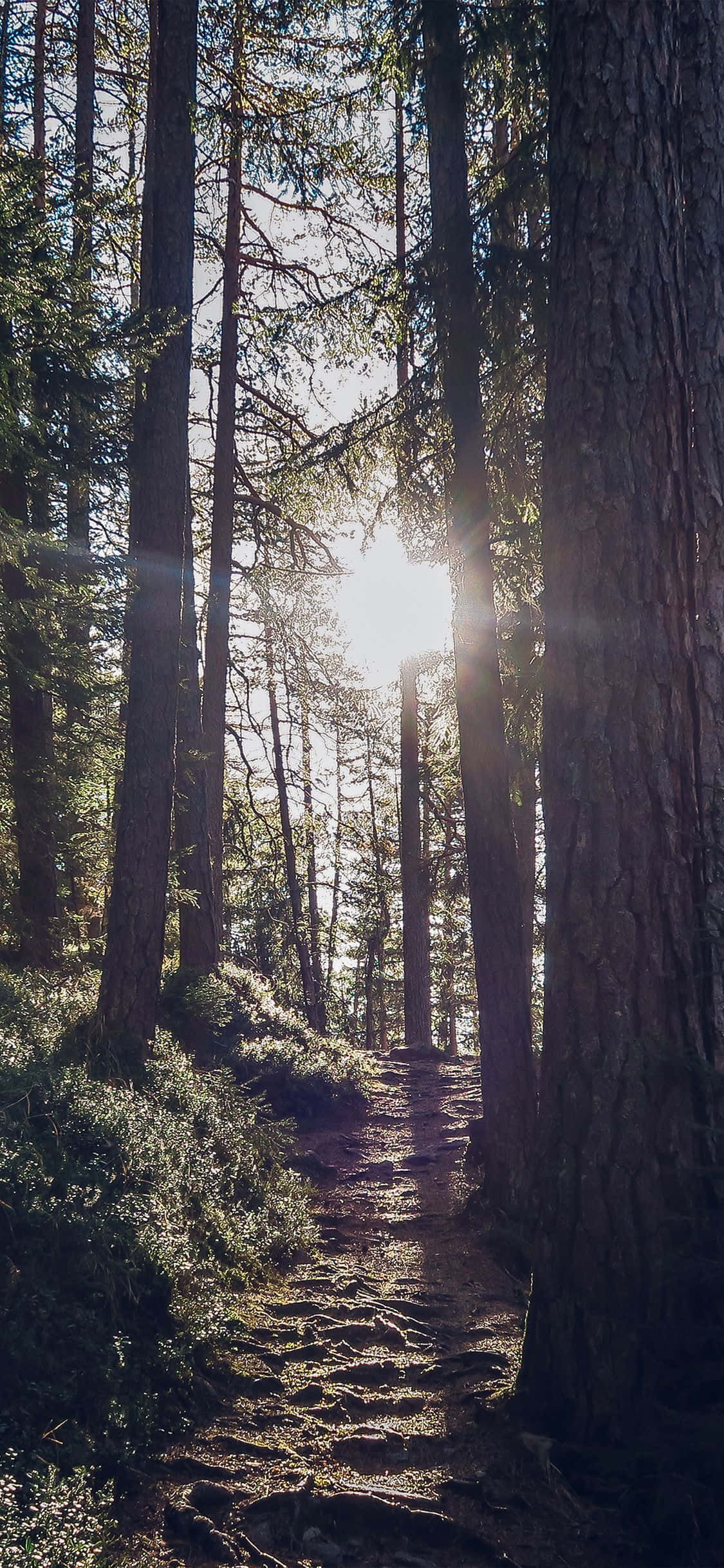 Impresionante Paisaje Montañoso para iPhone X Fondos de pantalla
