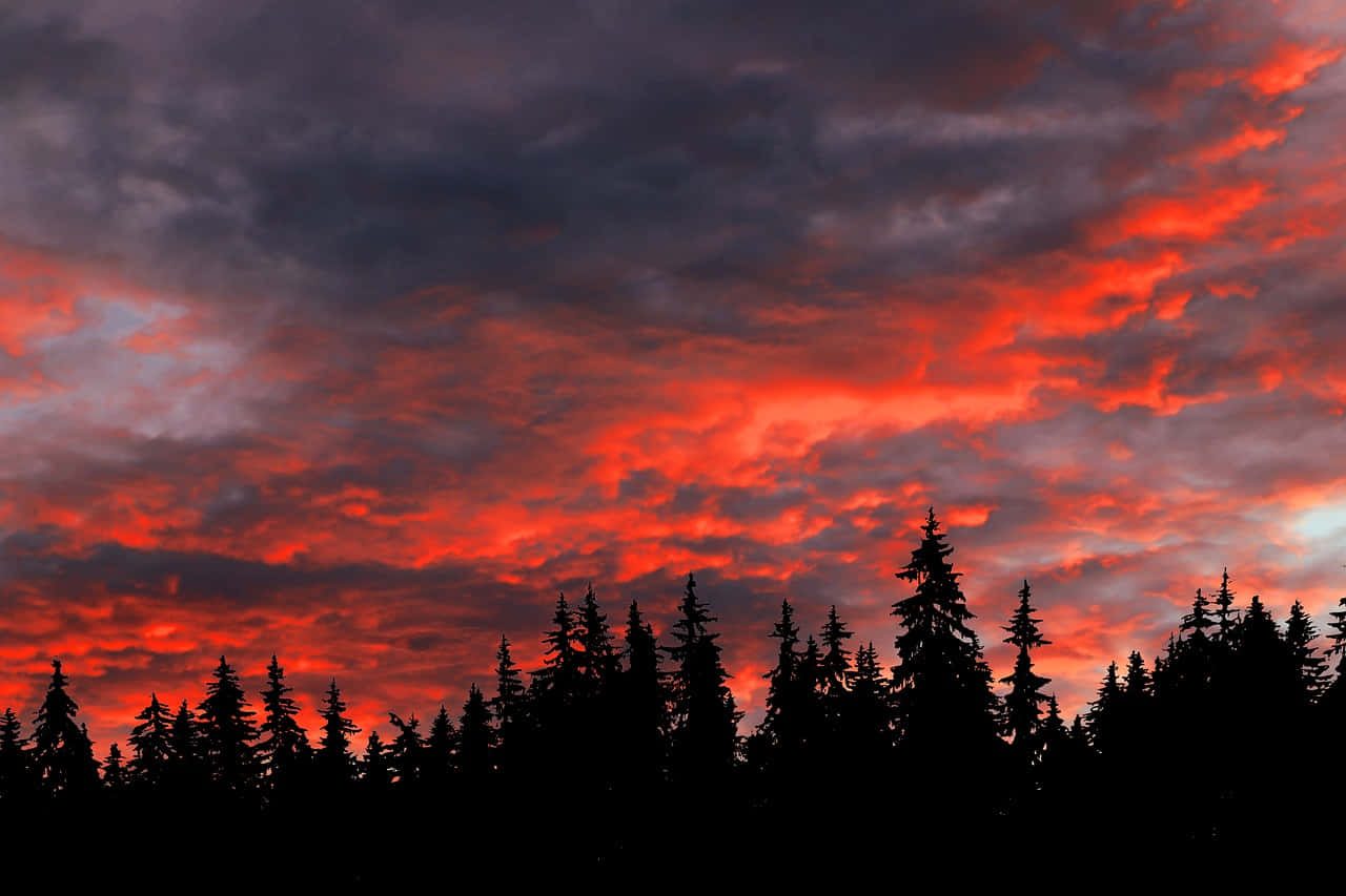 Impresionantes nubes estéticas sobre un paisaje boscoso Fondos de pantalla