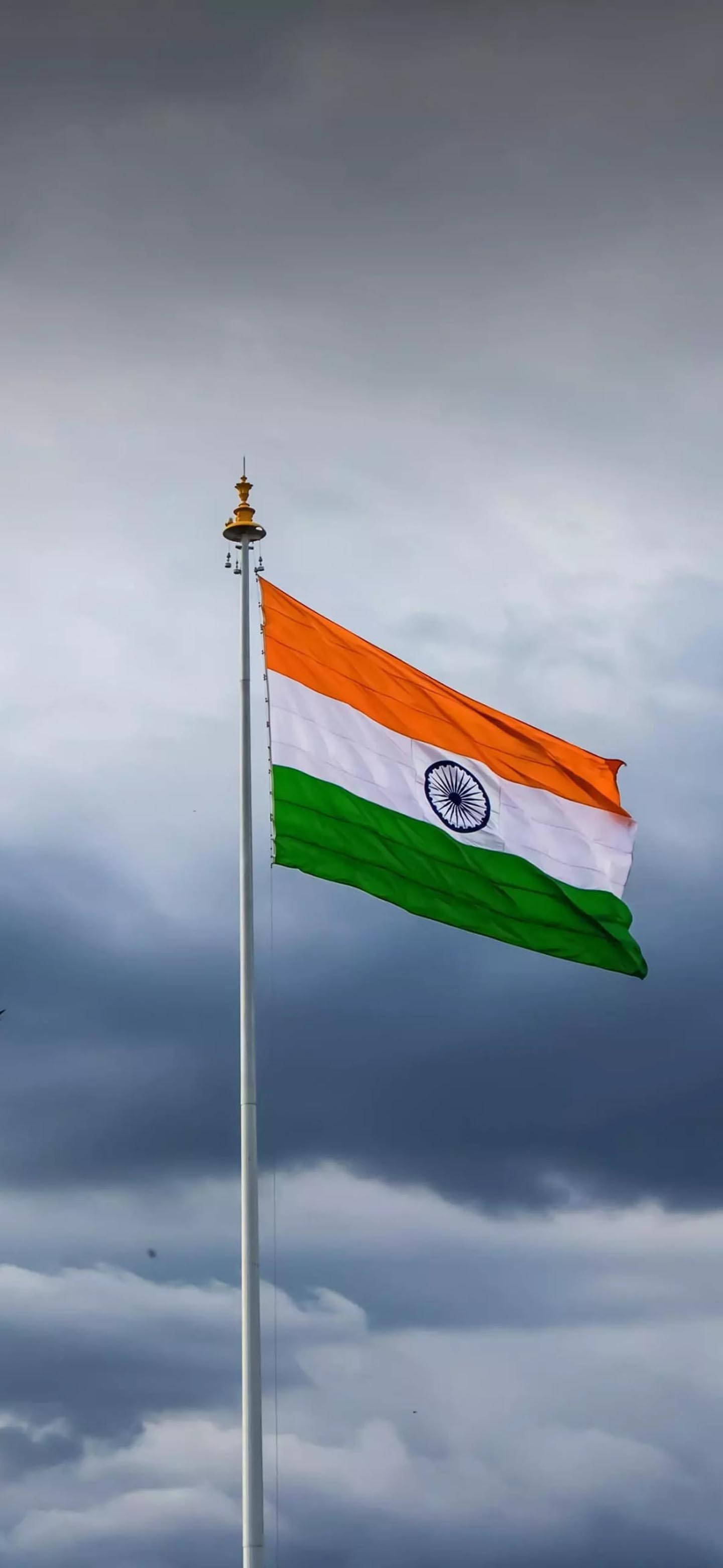 Increíble Bandera India Móvil Fondos de pantalla