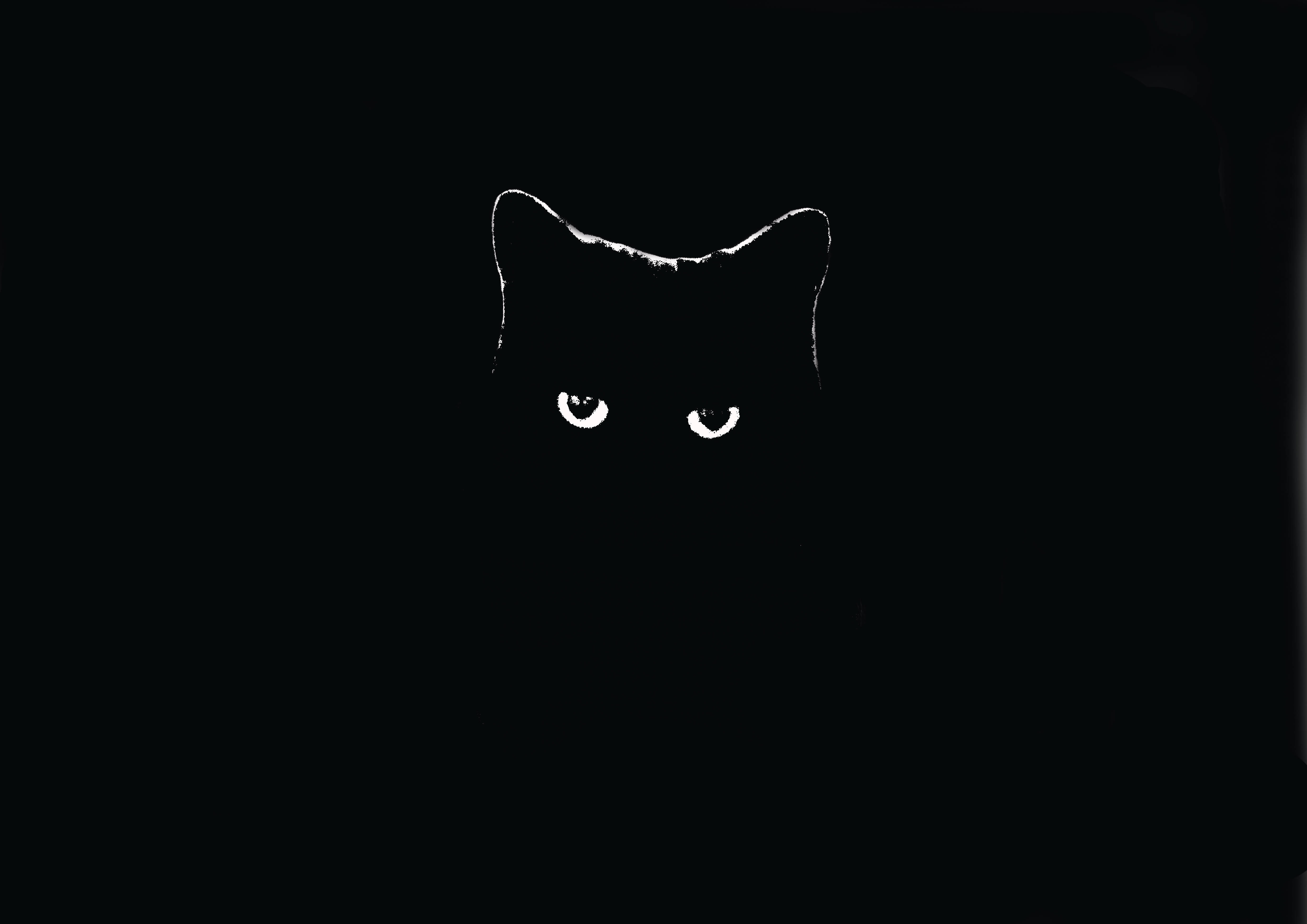 Increíble Gato Negro Oscuro 4K Fondos de pantalla