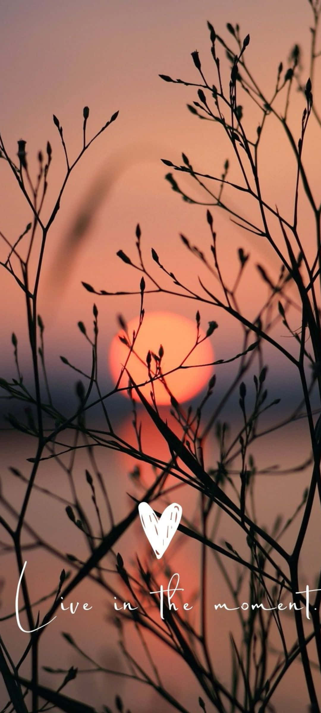 Inspiración de Silueta al Atardecer Fondos de pantalla