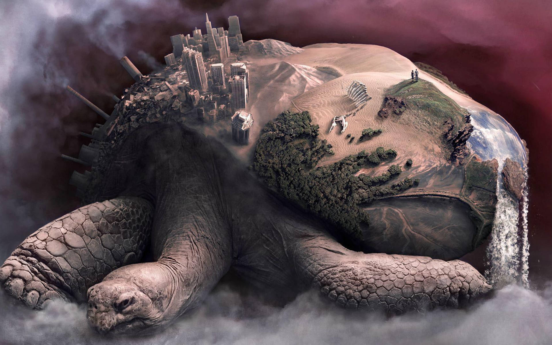 Inspiración para la aventura bajo las olas con Cool Turtle Fondos de pantalla