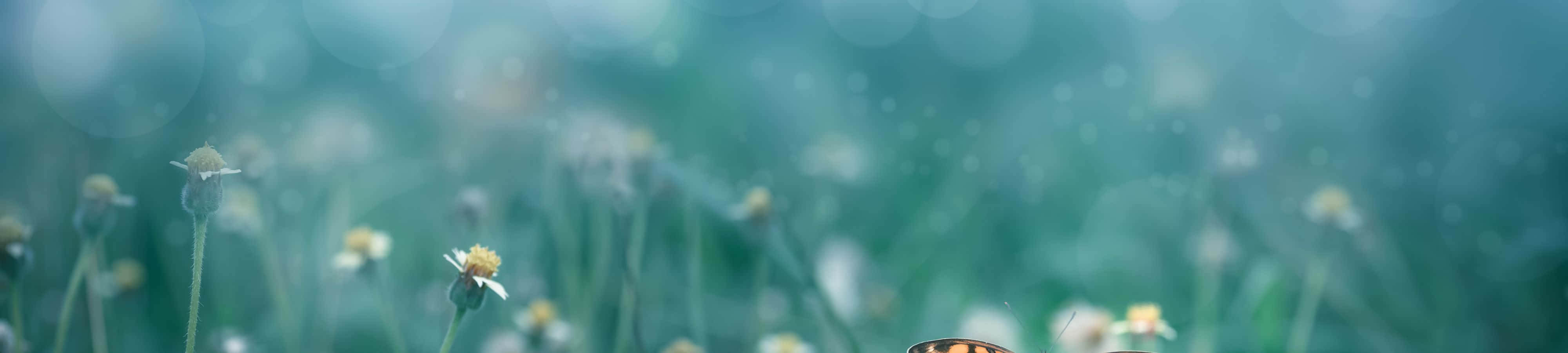Inspírate con la naturaleza Fondos de pantalla