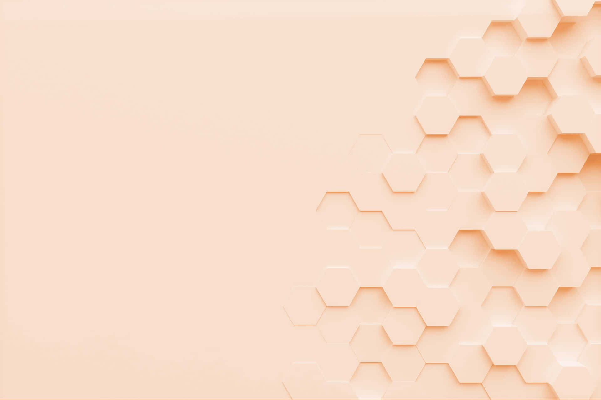 Imágenes de estética beige