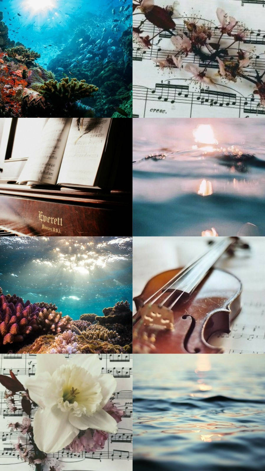Instrumentos Musicales Estéticos Fondos de pantalla