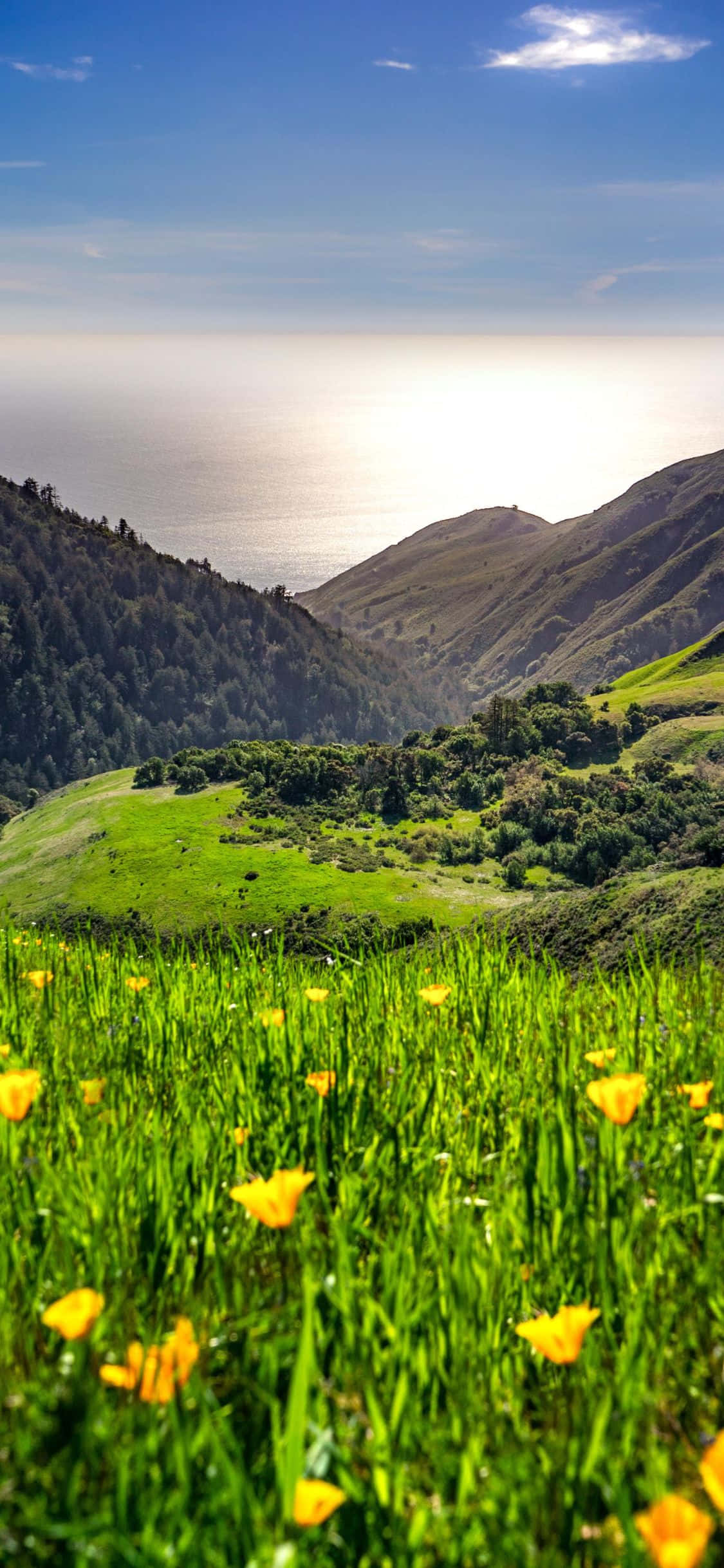 Invierte en tu futuro con el Apple iPhone Xs California Fondos de pantalla
