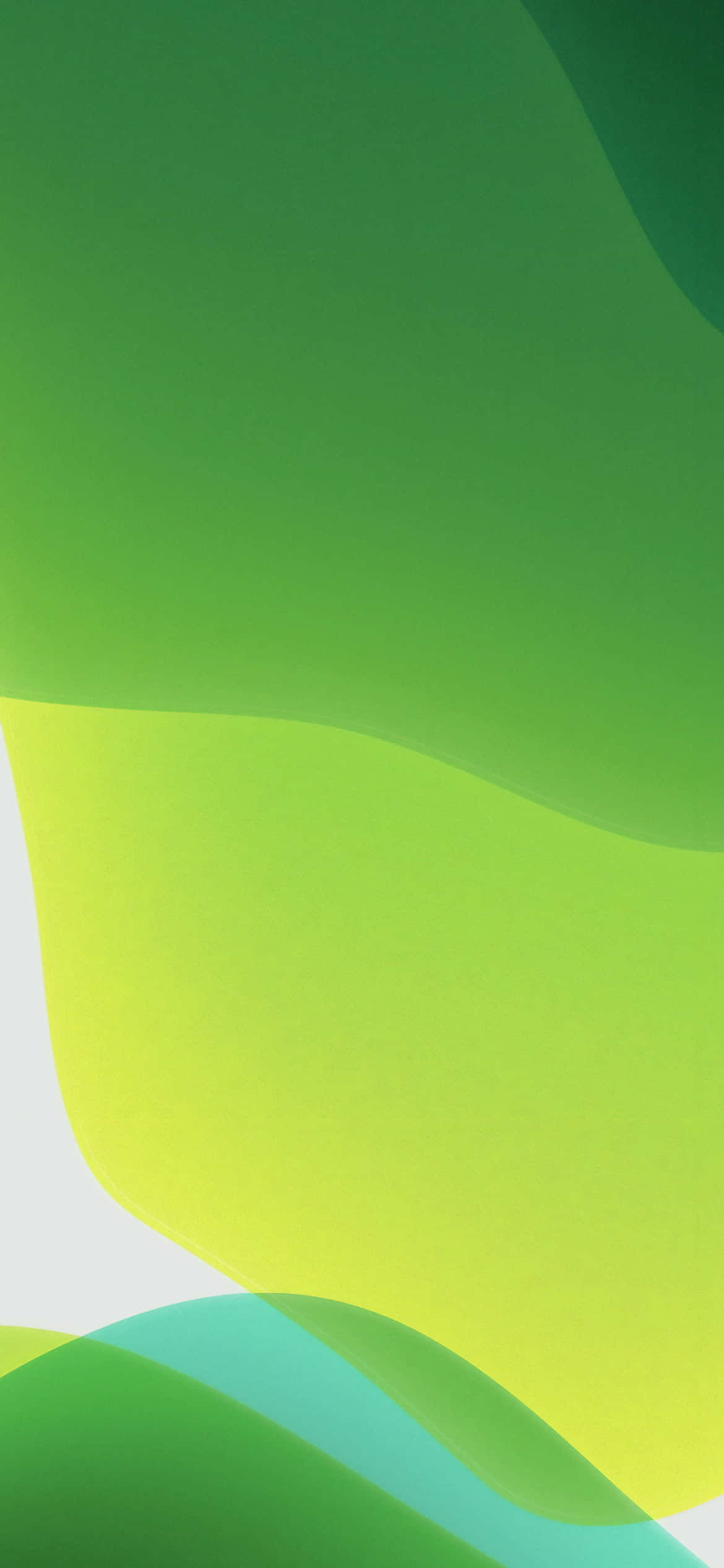 iOS 13 Fondo Blanco con Amarillo y Verde Fondos de pantalla