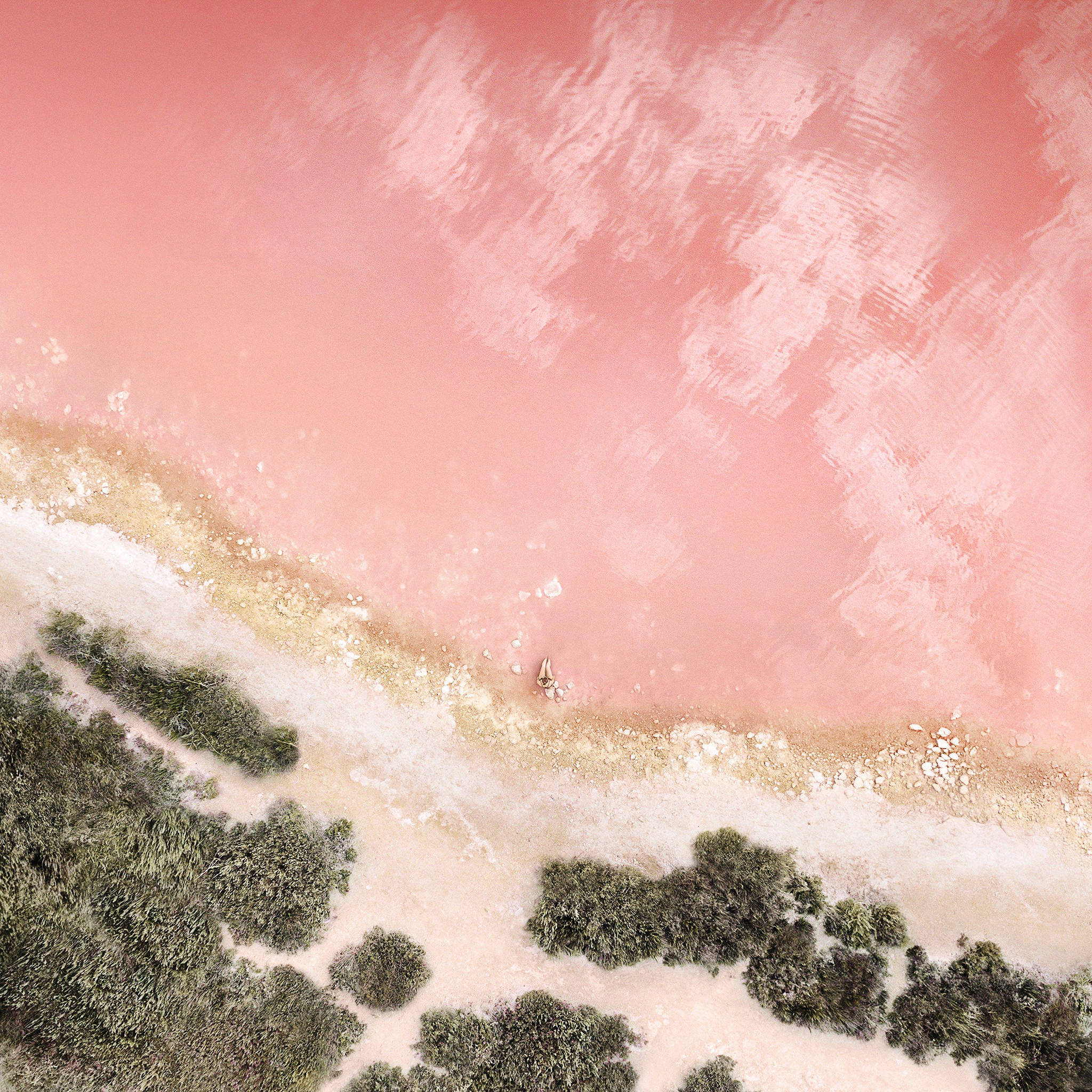 iPad Estético Playa de Coral Fondos de pantalla