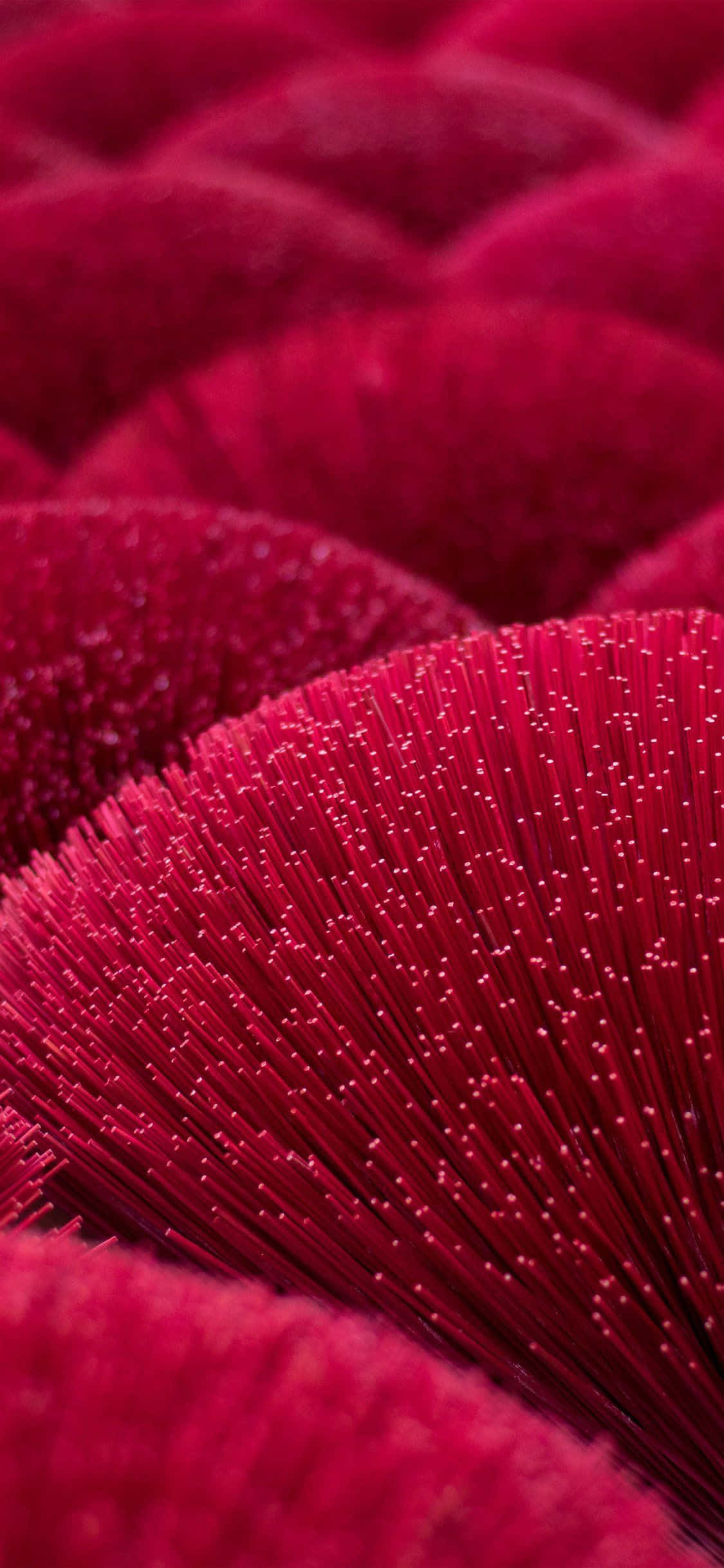 iPhone 11 Rojo Alfileres Rojos Fondos de pantalla