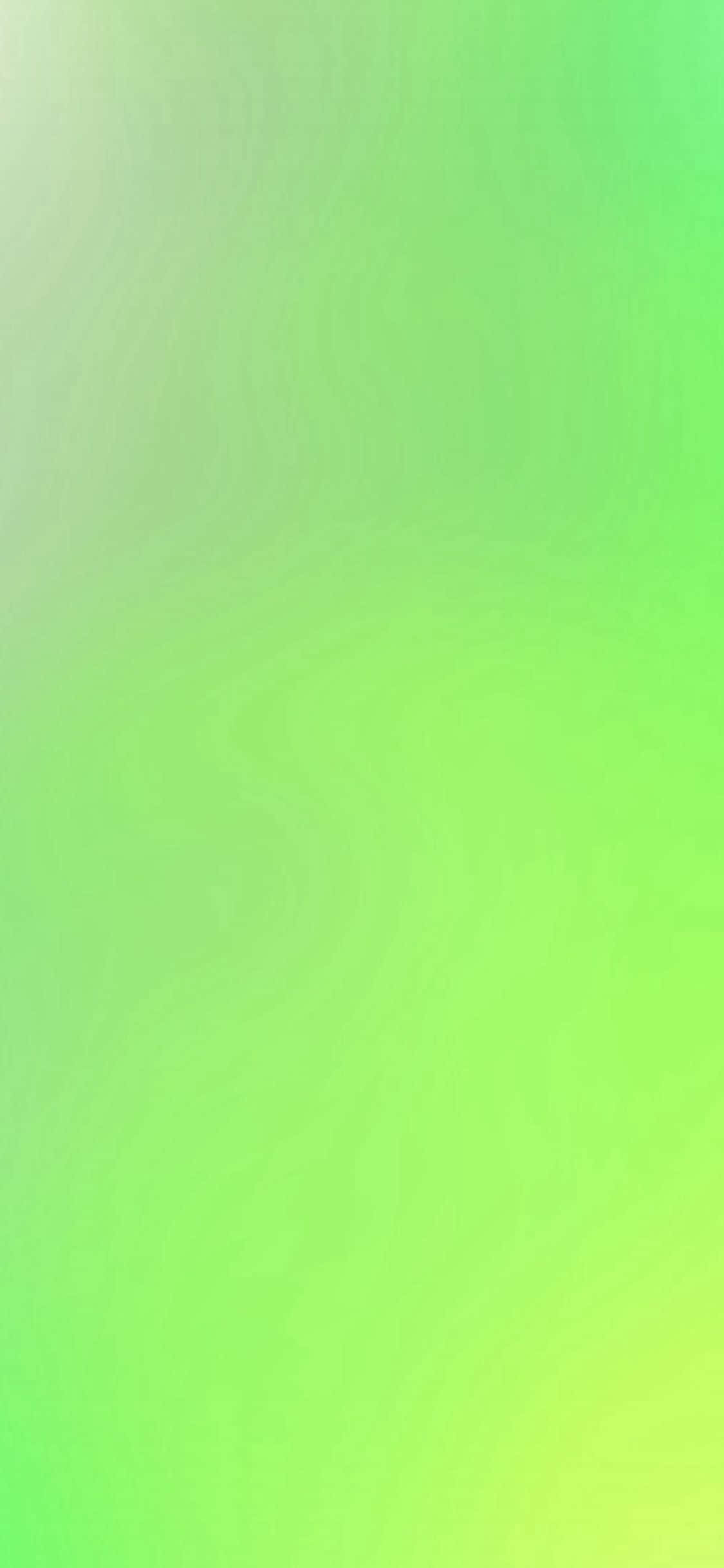 iPhone 11 Verde Refrescante Fondos de pantalla