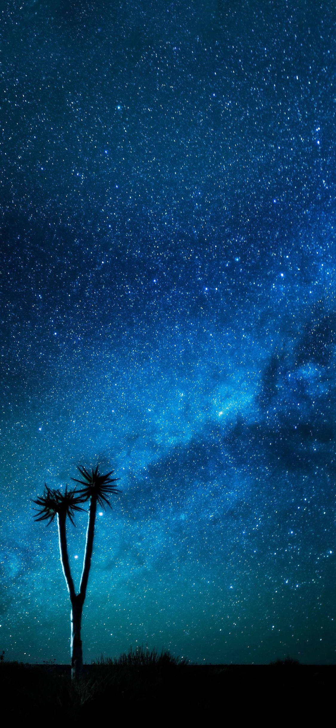 iPhone Azul de Cielo Estrellado Nocturno Fondos de pantalla