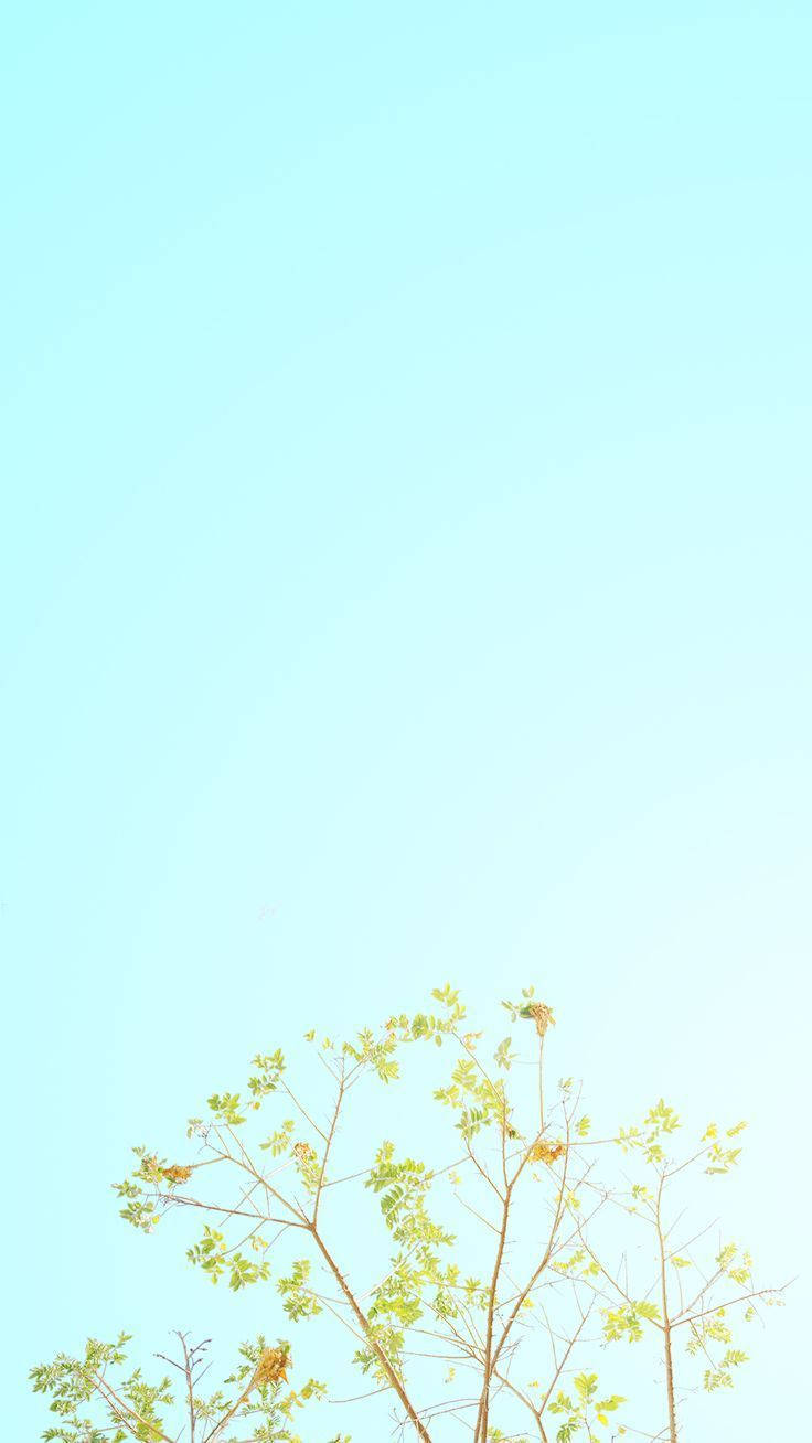 iPhone Azul Pastel Claro Fondos de pantalla