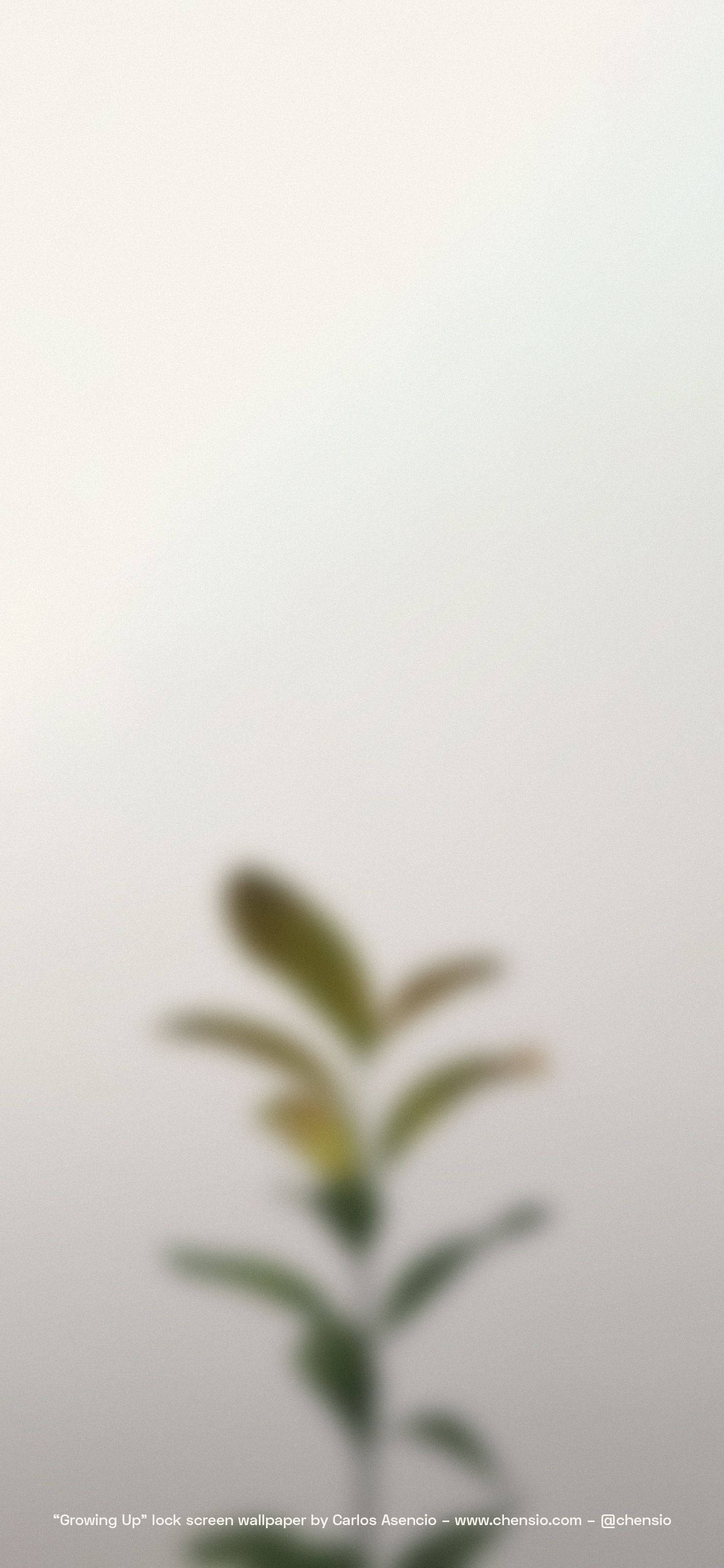 iPhone beige para un estilo contemporáneo Fondos de pantalla