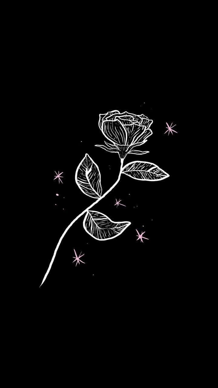 iPhone estético blanco y negro con rosa blanca Fondos de pantalla