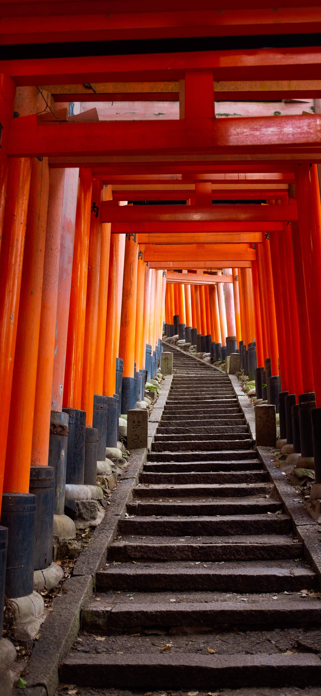 iPhone Estético con Escalera Torii Japonesa Fondos de pantalla