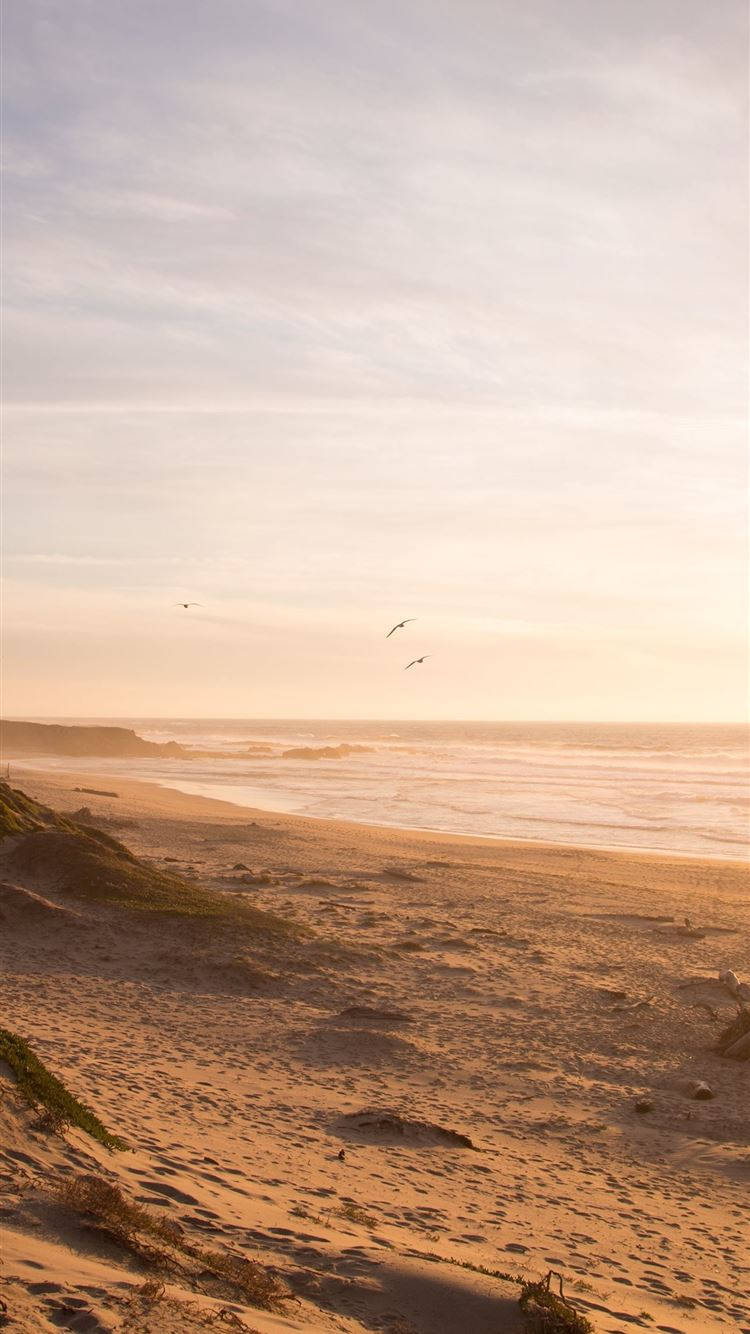 iPhone Playa Océano Neutro Fondos de pantalla