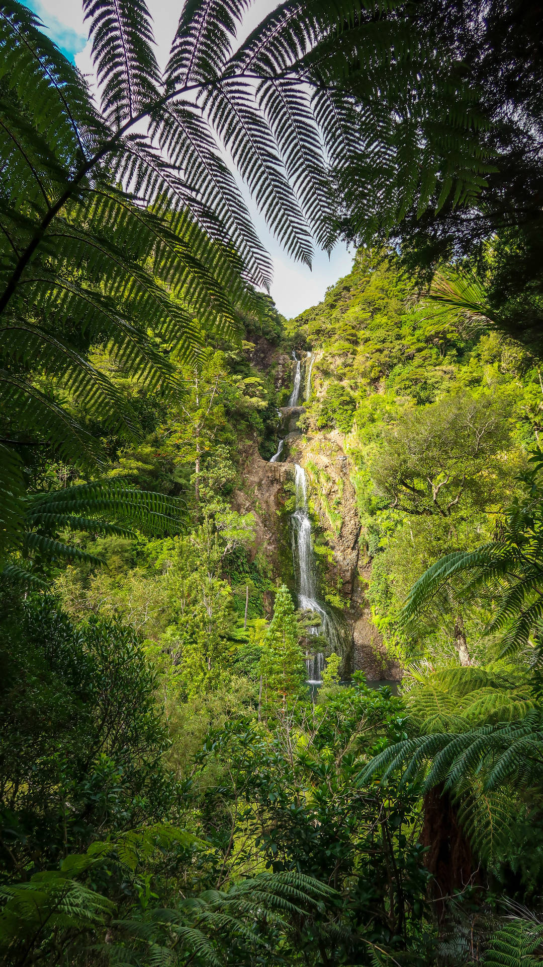 iPhone selva cascadas Fondos de pantalla