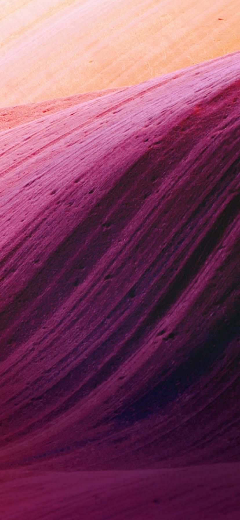 iPhone XR curvas beige y púrpura Fondos de pantalla