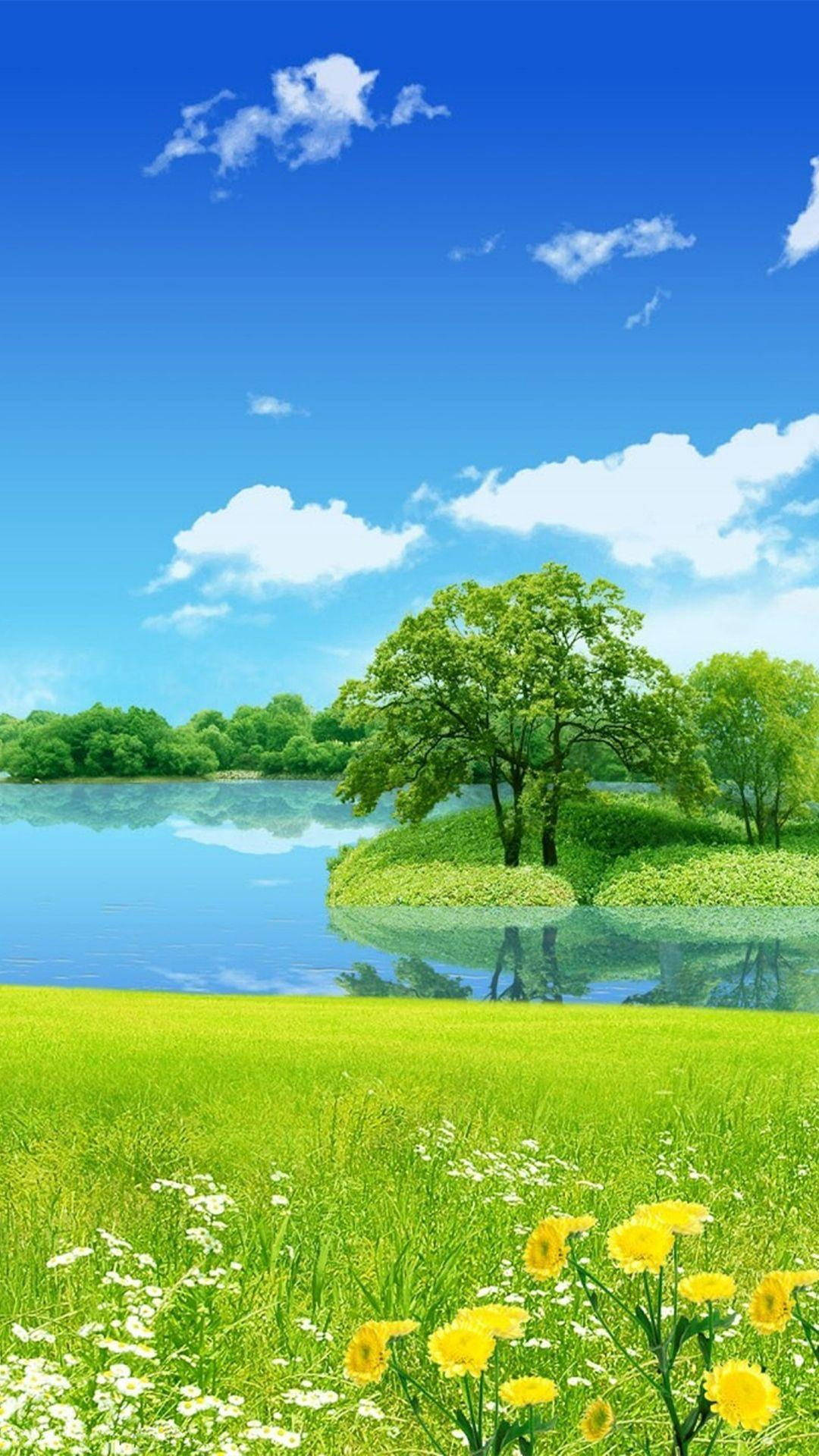 Isla con Estanque en la Naturaleza para Teléfono Fondos de pantalla