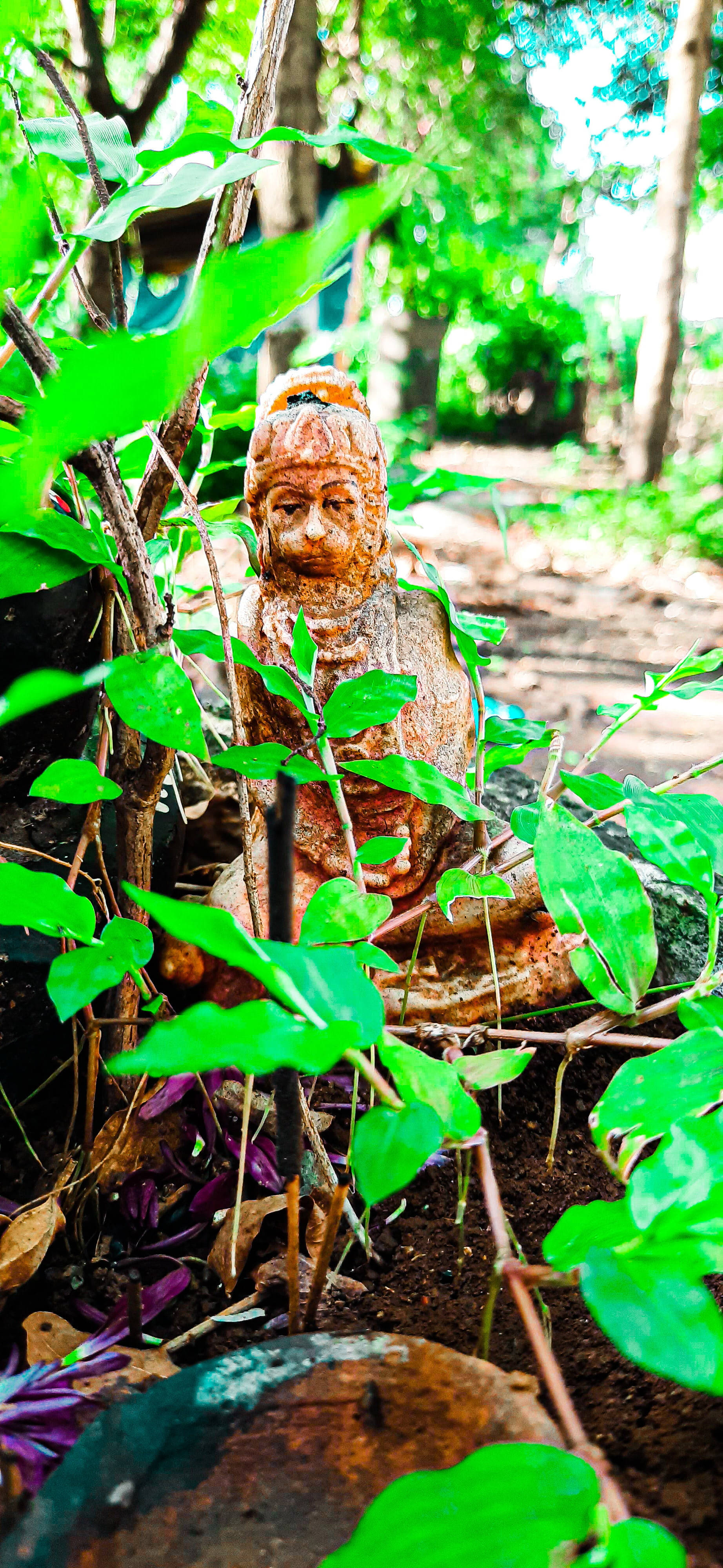 Jai Shree Ram HD Estatua en el Bosque Fondos de pantalla