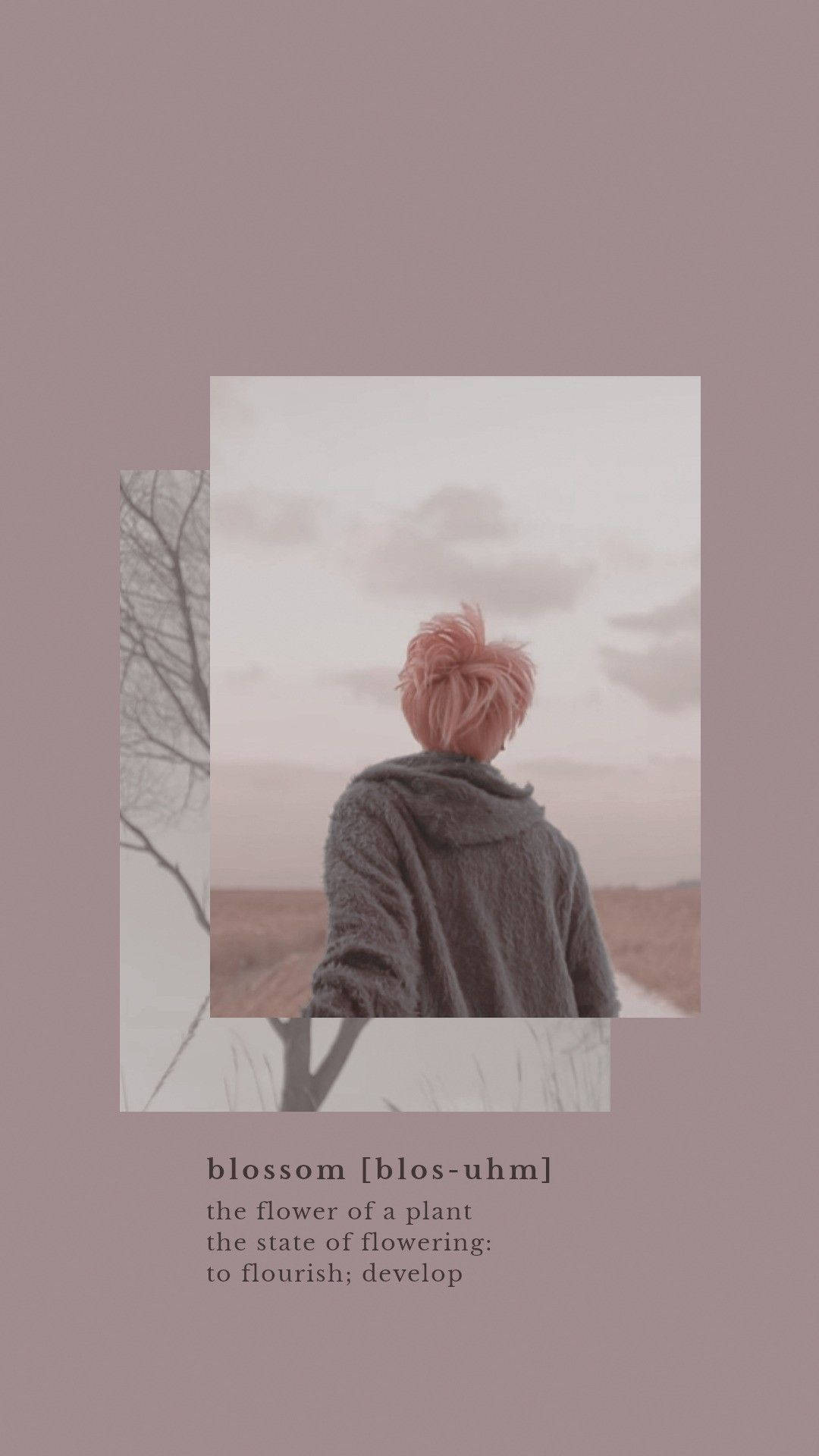 Jimin de BTS Blossom Estético Fondos de pantalla