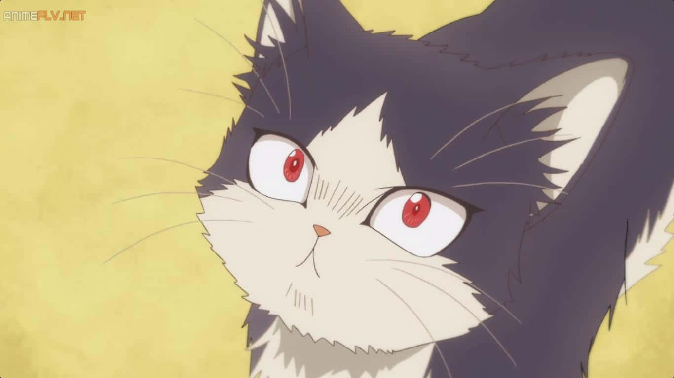 Joven compartiendo un momento tranquilo con su gato en una imagen de anime japonés Fondos de pantalla