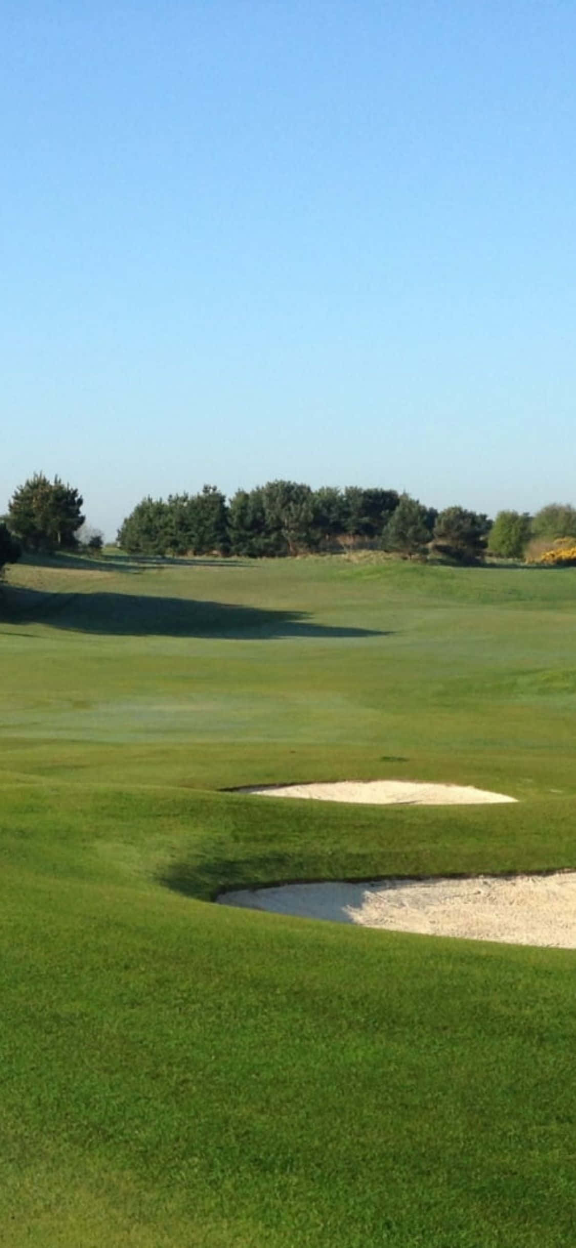 Pega el primer golpe en el verde inmaculado del campo de golf Fondos de pantalla