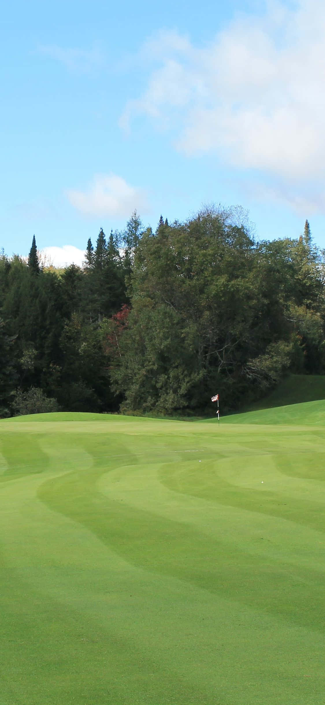 Jugando Golf en un Campo Sereno con iPhone X Fondos de pantalla