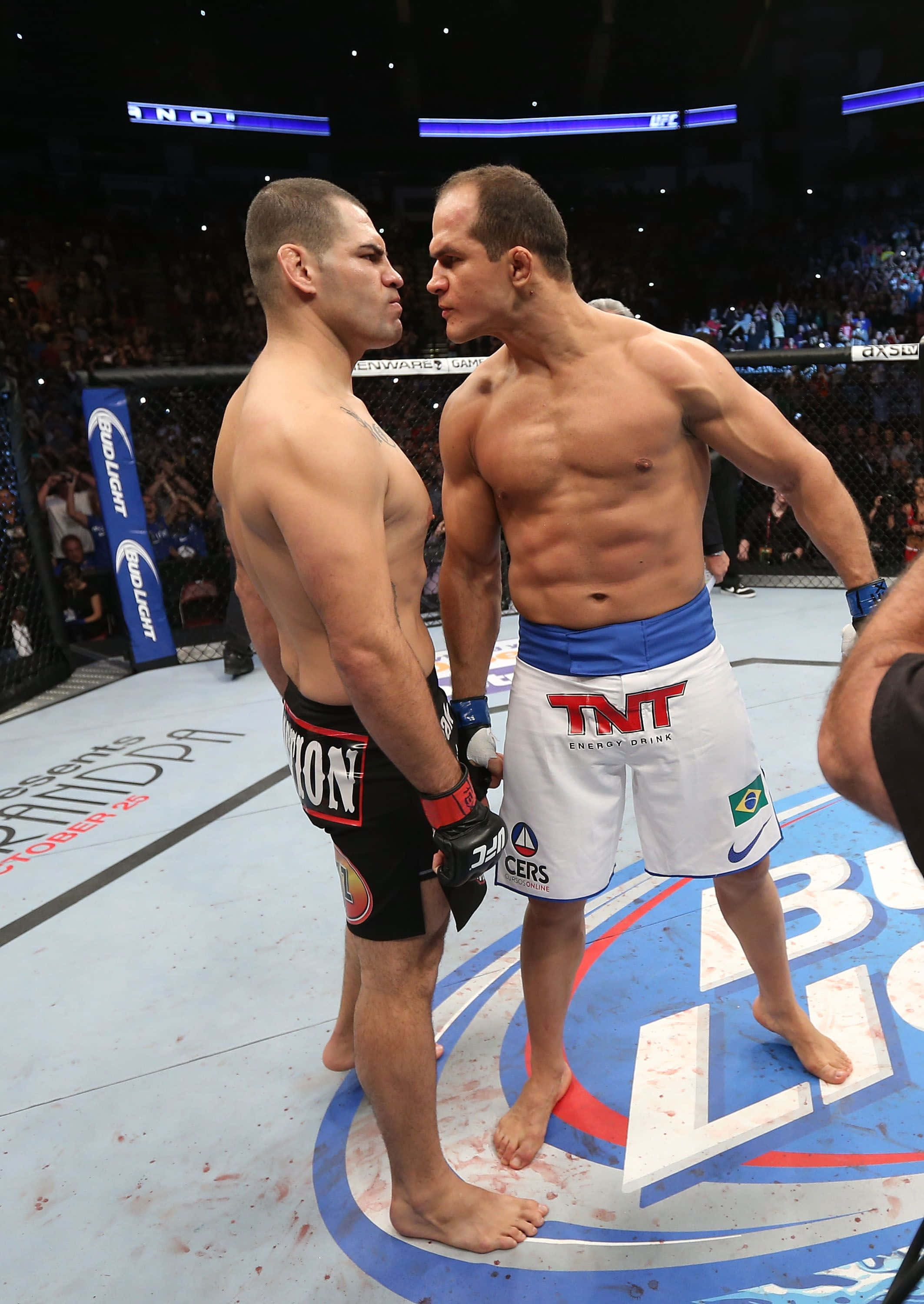 Junior Dos Santos UFC On Fox 1 Fondos de pantalla