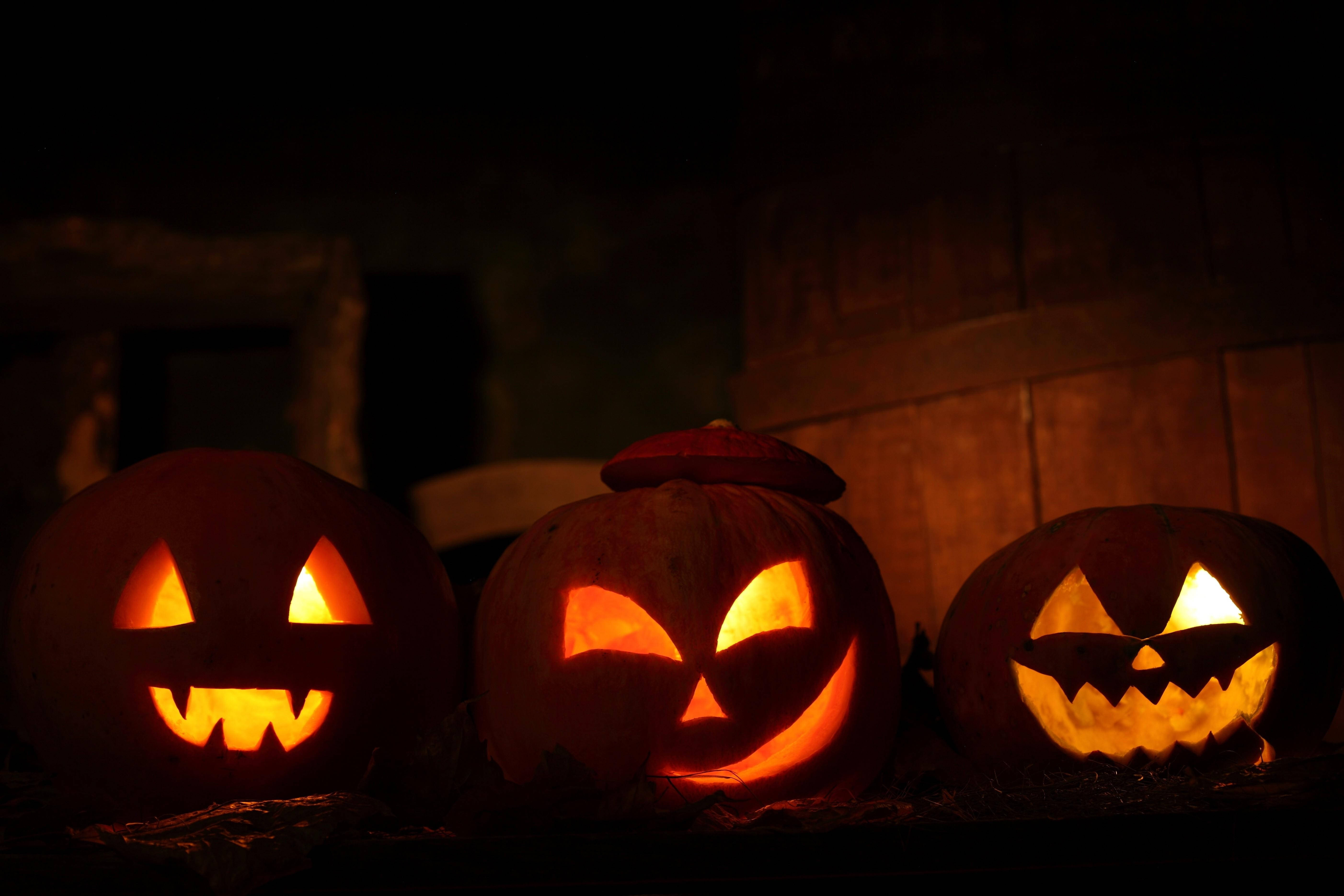 Justo a tiempo para Halloween, calabazas talladas iluminadas por una luna llena Fondos de pantalla