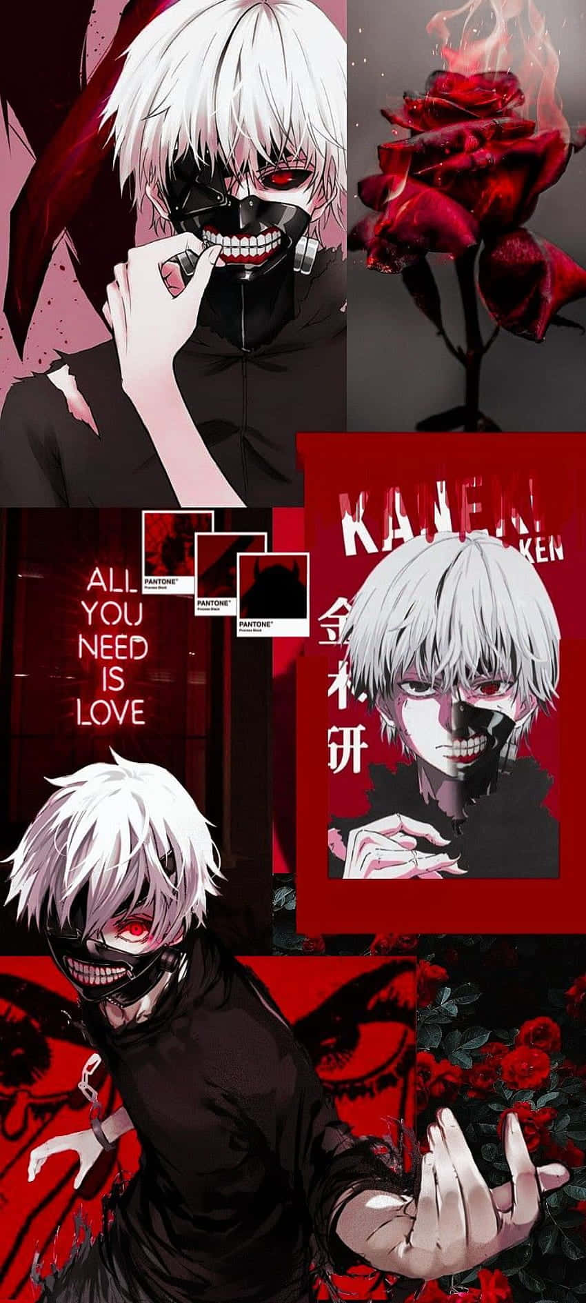 Kaneki Ken lucha por la justicia en Tokyo Ghoul Fondos de pantalla