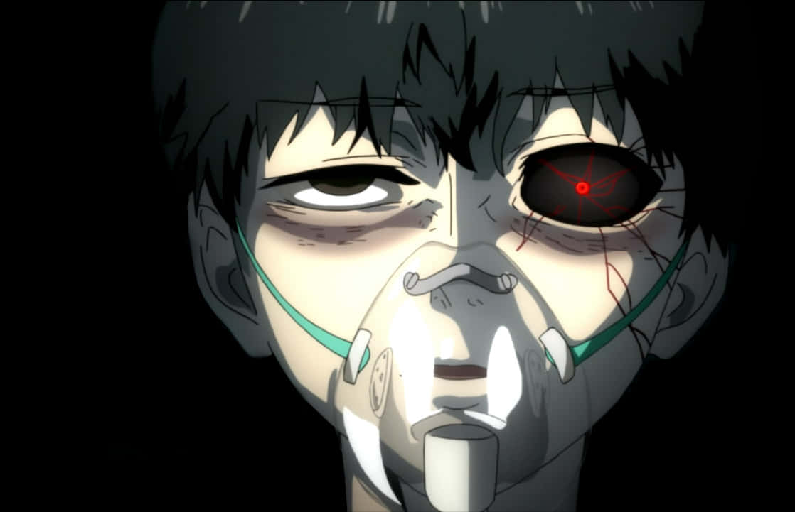 Kaneki Ken Transformación Tokyo Ghoul Fondos de pantalla