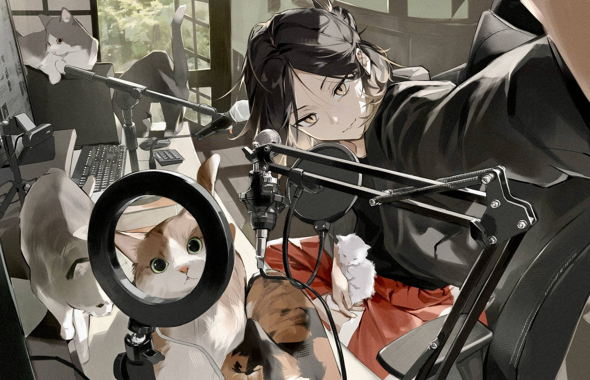 Kenma con gatos en su escritorio Fondos de pantalla