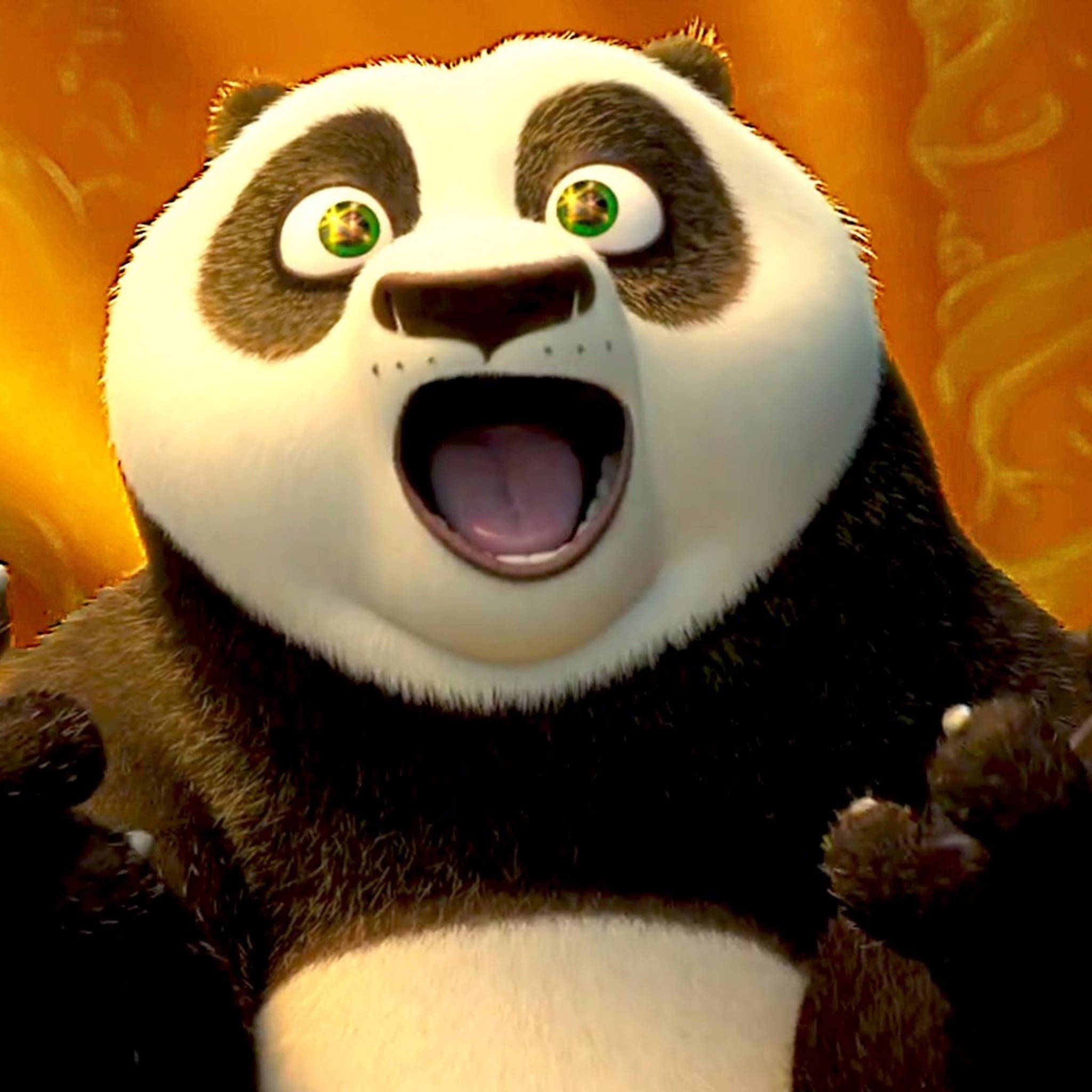 Kung Fu Panda Feliz y Emocionado Fondos de pantalla