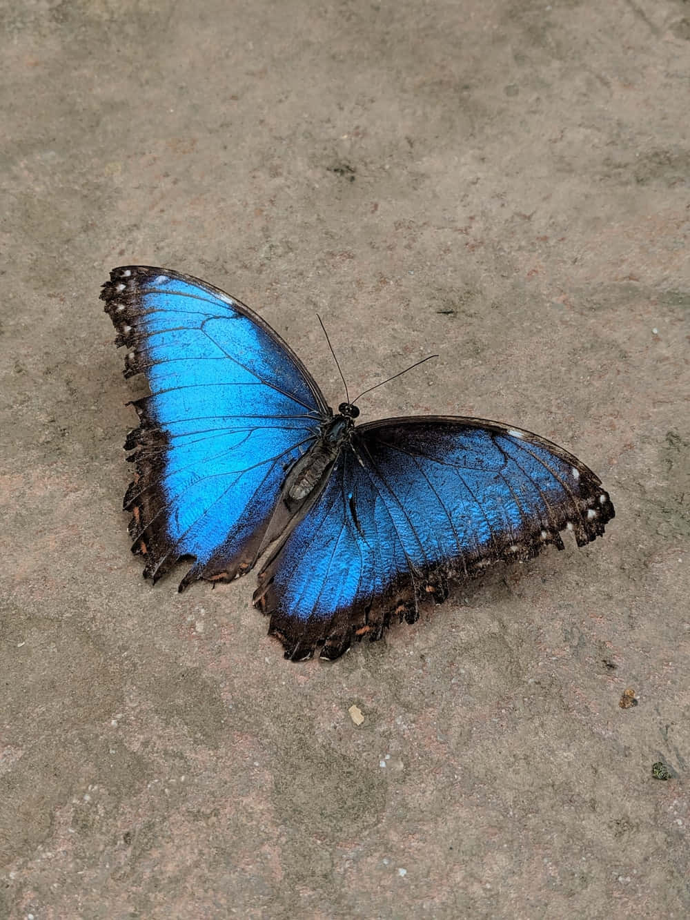 La Belleza de la Naturaleza Fondos de pantalla