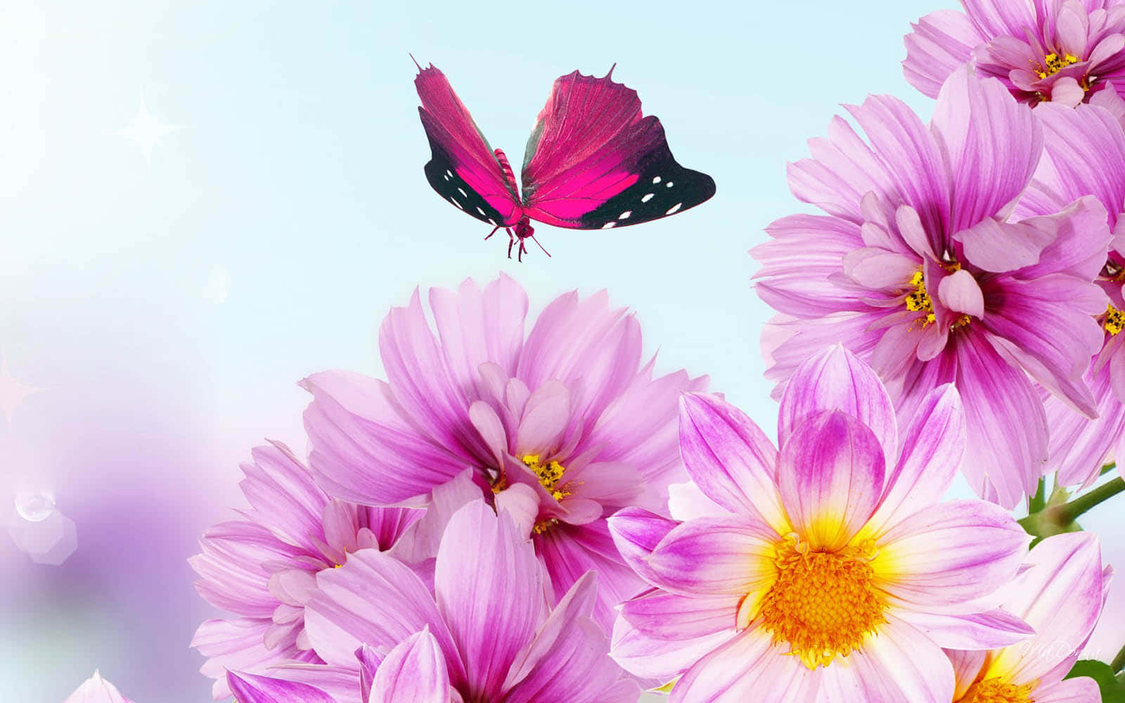 "La belleza de la naturaleza en plena floración" Fondos de pantalla