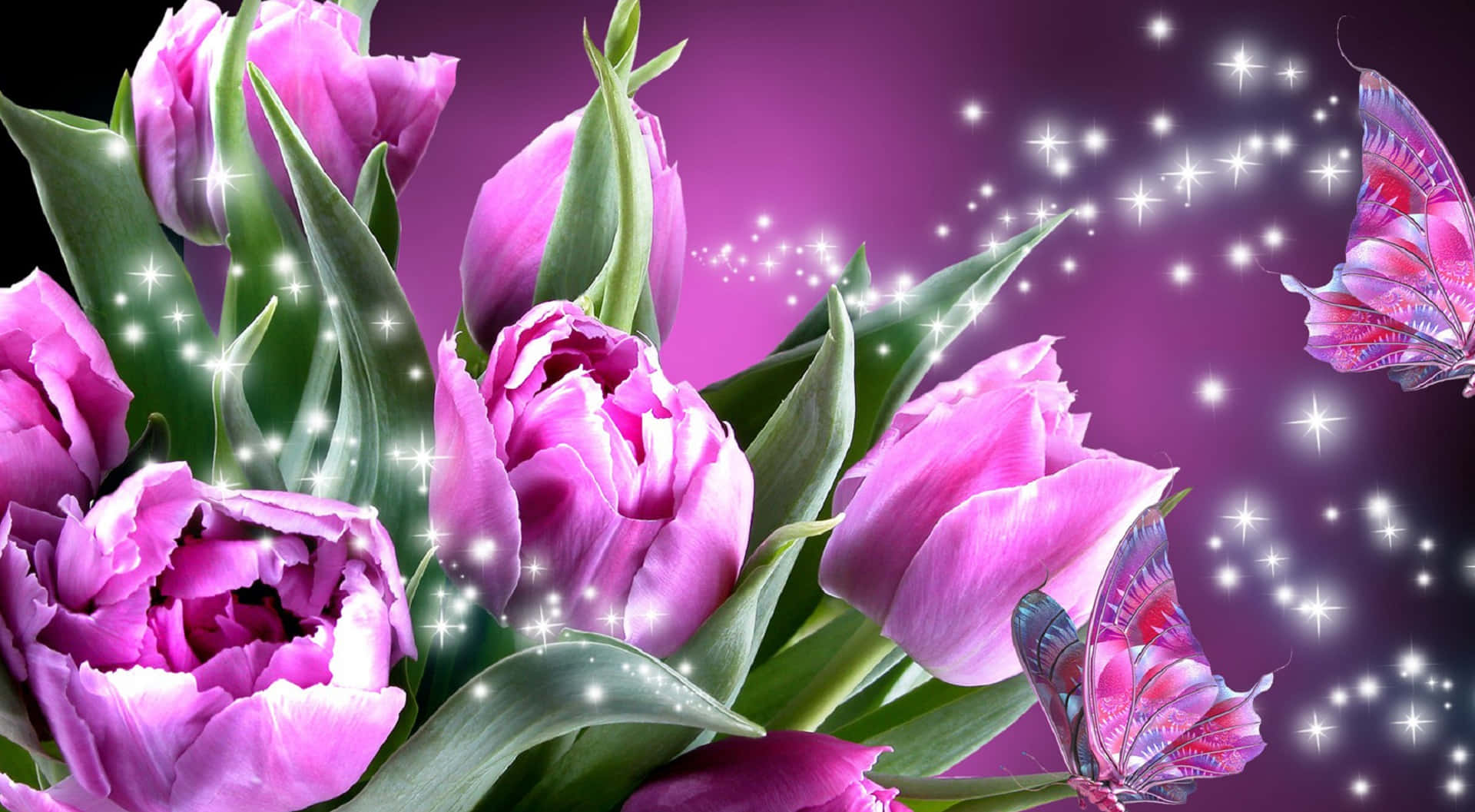La belleza de la naturaleza florece con una flor impresionantemente hermosa Fondos de pantalla
