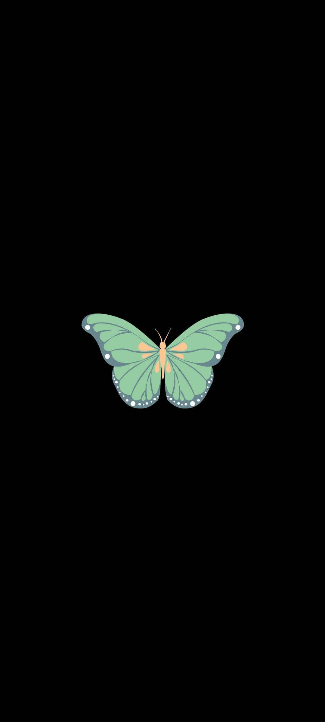 La belleza de la naturaleza - una delicada mariposa verde Fondos de pantalla