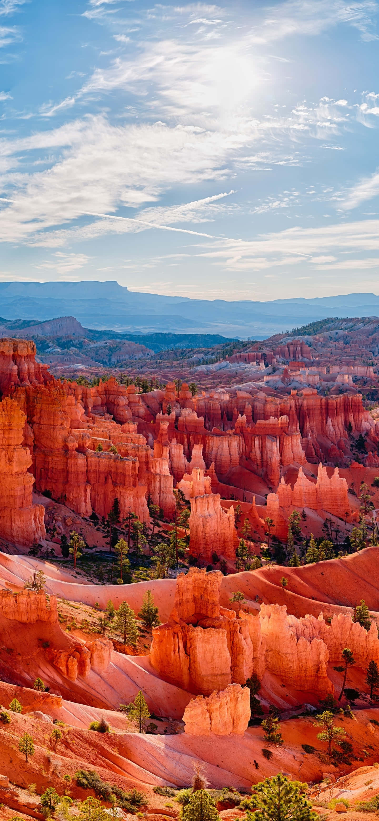 La belleza de la naturaleza - Una impresionante vista panorámica de un atardecer dorado Fondos de pantalla