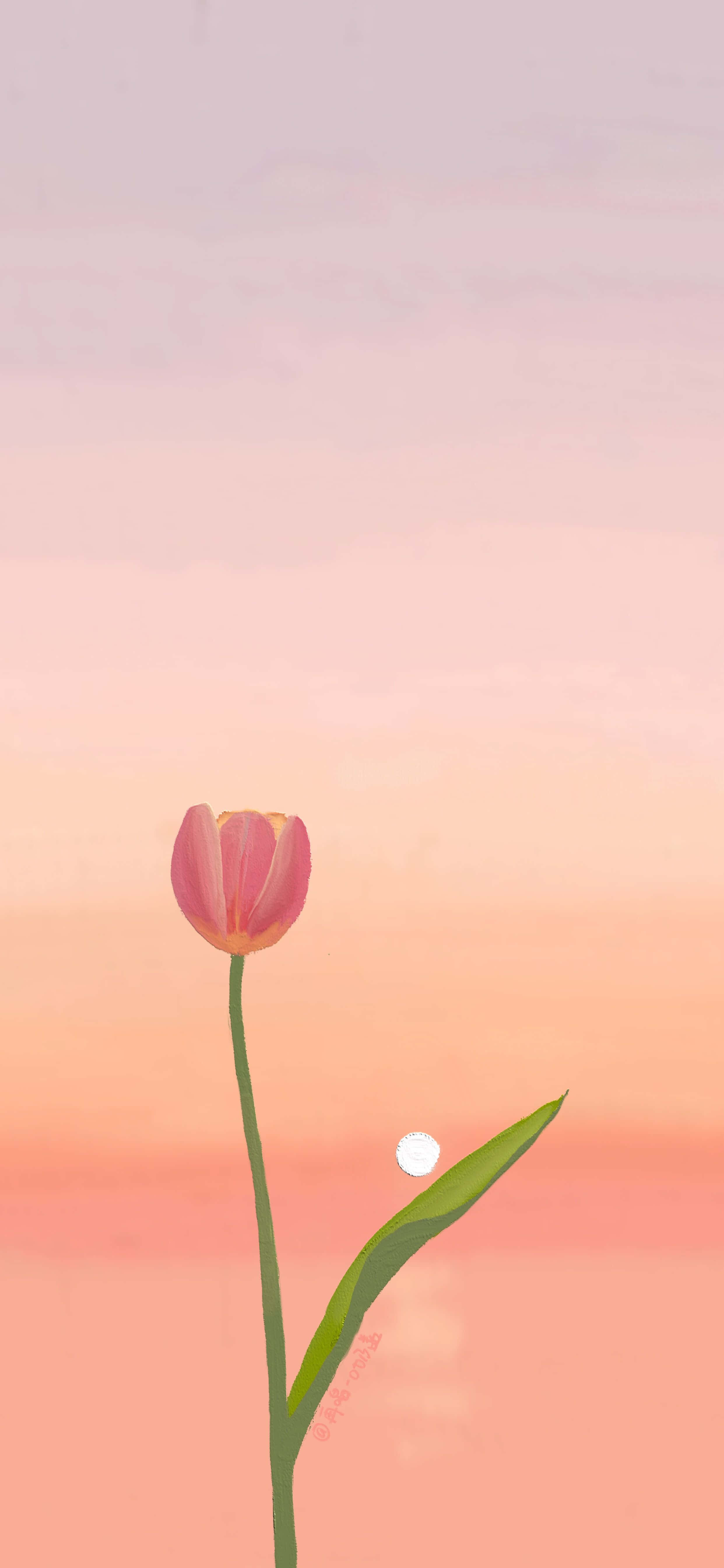 La belleza de los tulipanes Fondos de pantalla