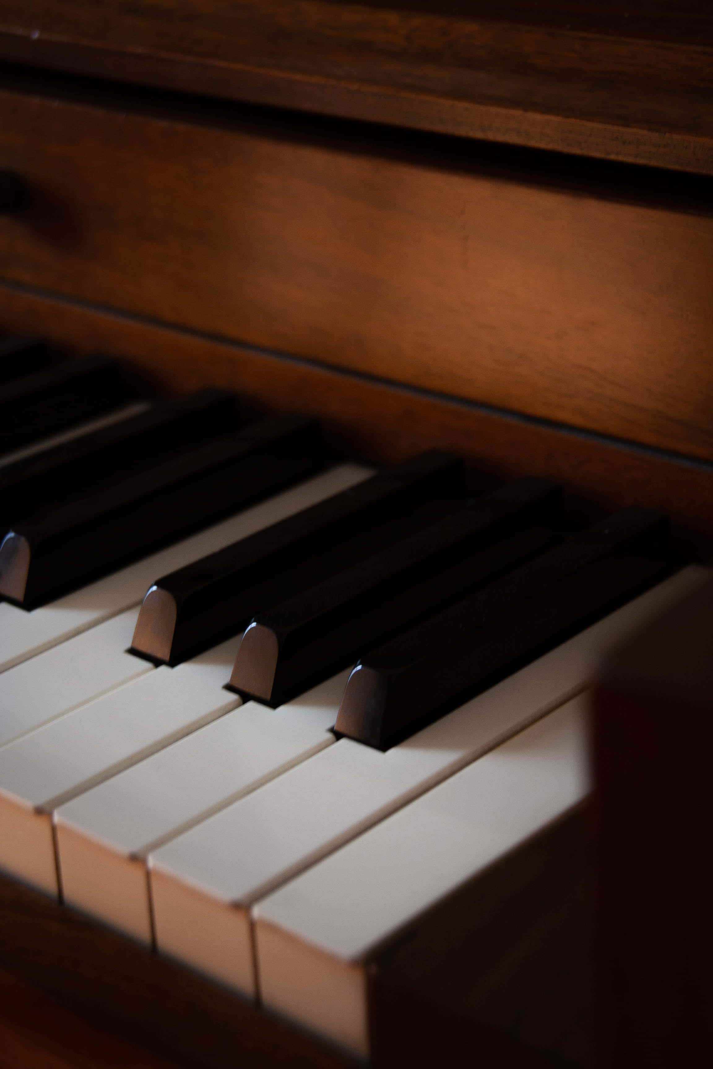 La belleza de un piano de cola clásico Fondos de pantalla