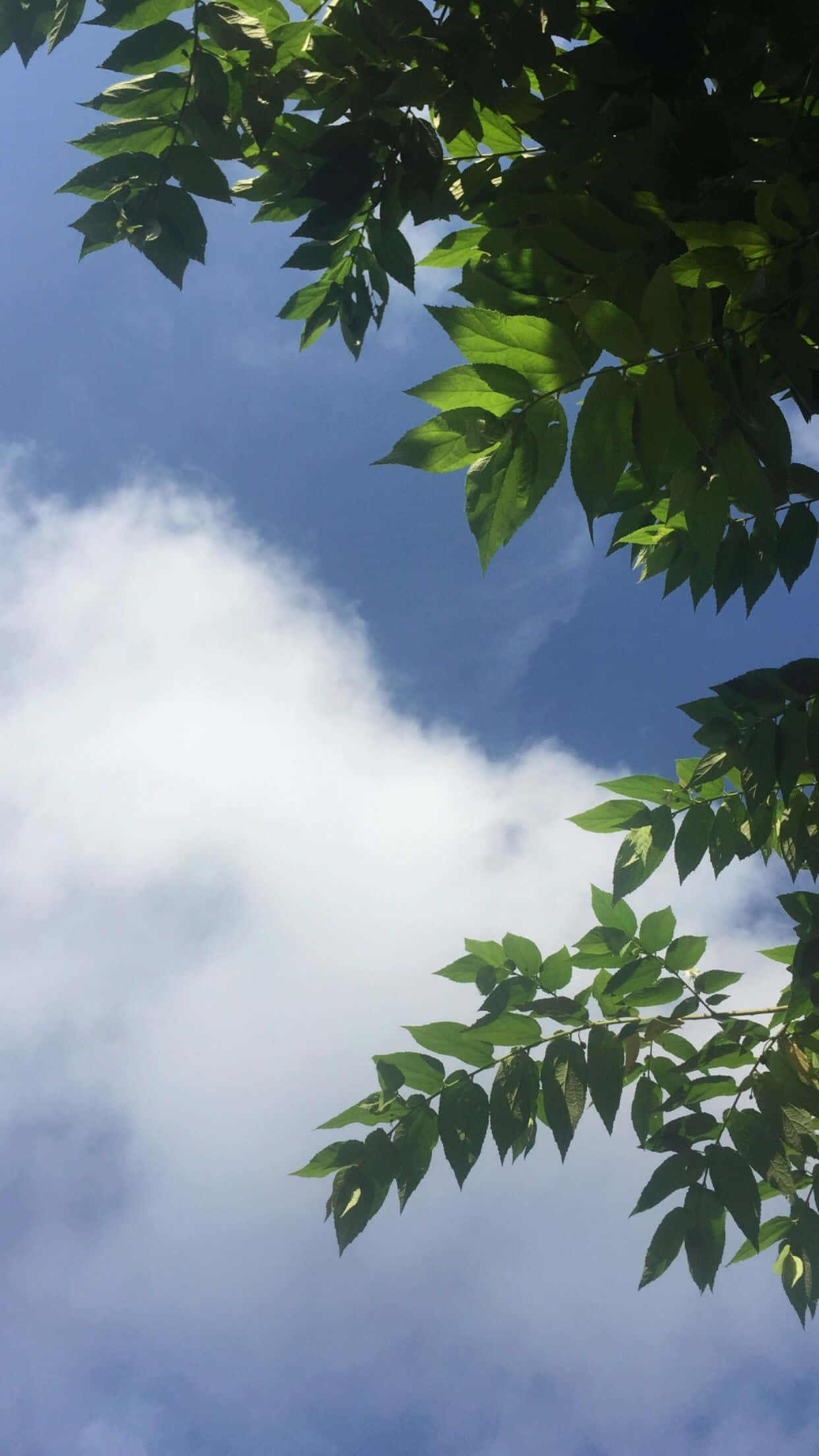 “La Belleza Estética del Cielo” Fondos de pantalla
