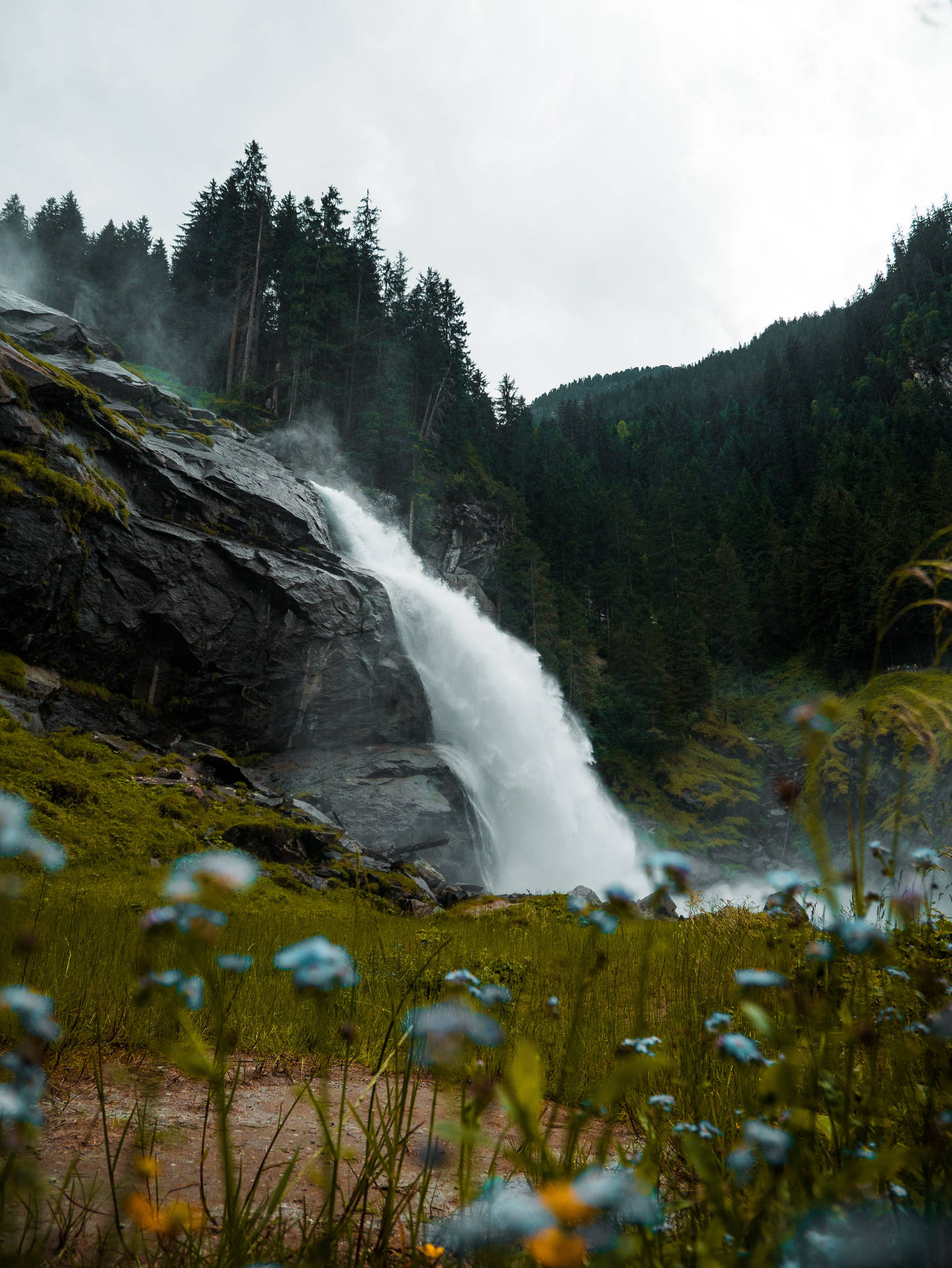 Fondo de pantalla de cascada con flores y paisaje.