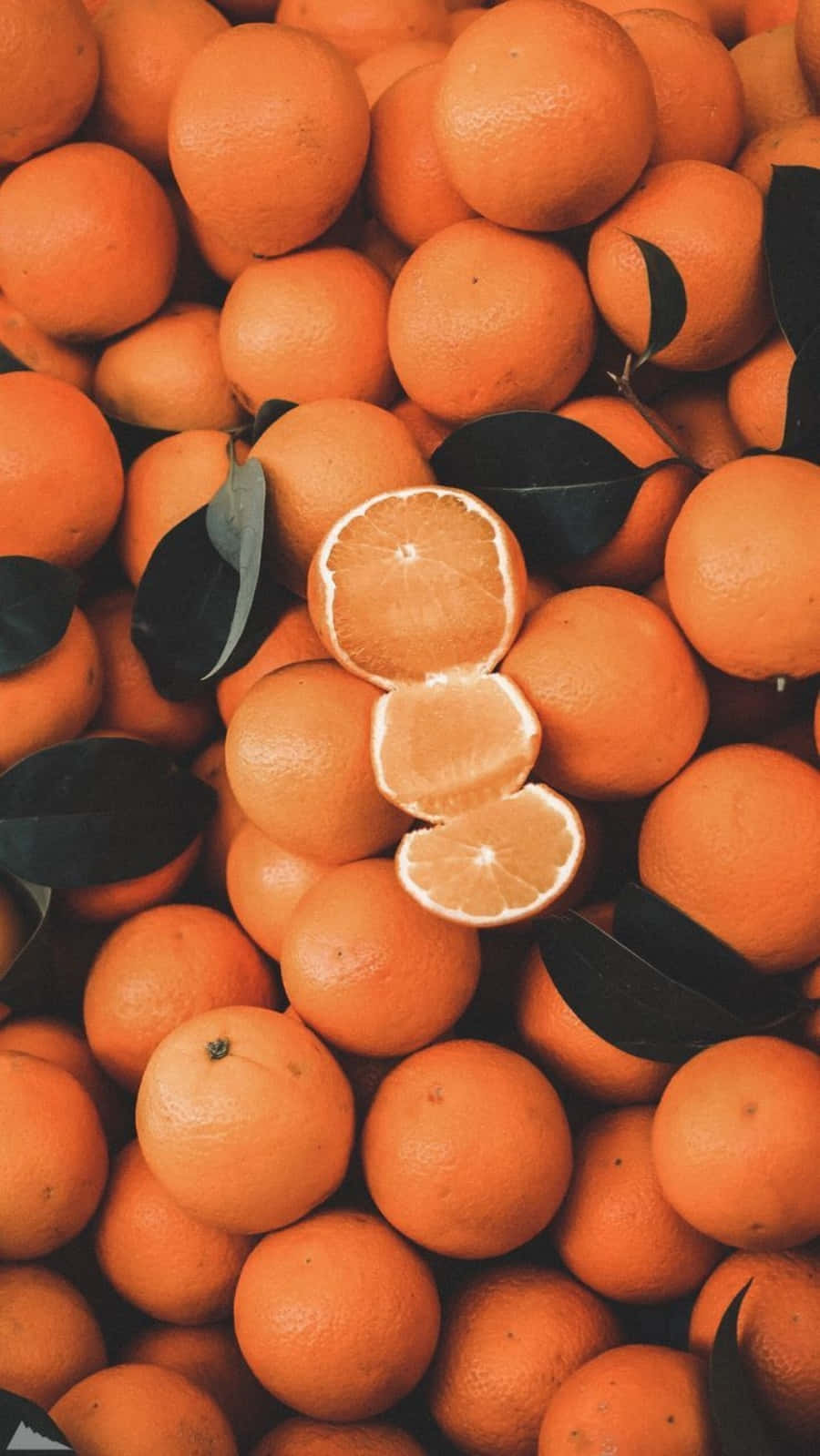 La belleza natural viene en muchos colores, incluyendo el naranja 🍊 Fondos de pantalla