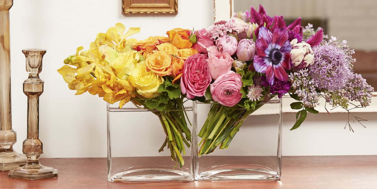 "La belleza reside en los ojos de las flores de la naturaleza" Fondos de pantalla