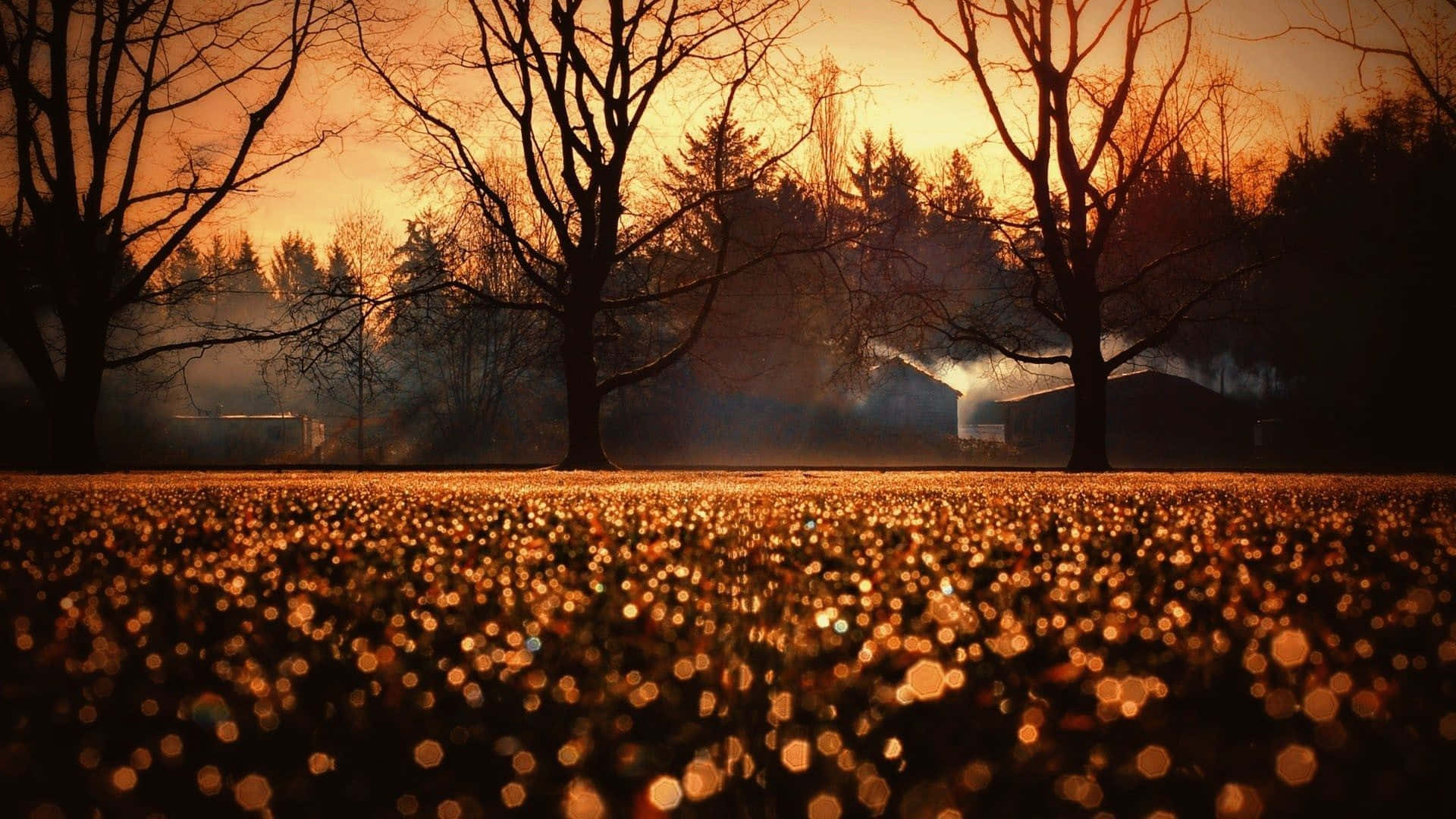 La Estética del Otoño Fondos de pantalla