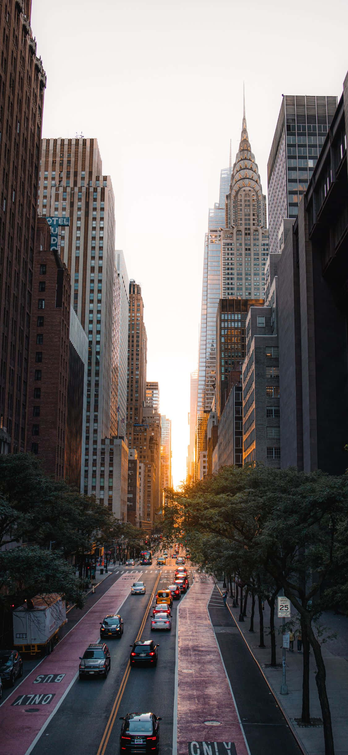 La Gran Manzana brillando en todo su esplendor en el iPhone Xs Fondos de pantalla